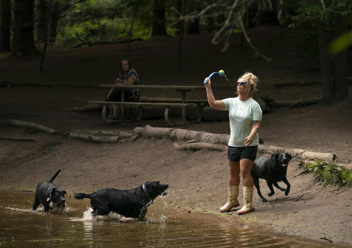 Monica Peterson threw a tennis ball for her three labs to retrieve during a visit to Battle Creek Regional Park Wednesday afternoon. She said she brings her dogs there four or five times a week. ] JEFF WHEELER &#x2022; jeff.wheeler@startribune.com Battle Creek Regional Park, one of Ramsey County's most popular parks, will be getting an overhaul after three decades of heavy use. County leaders are writing a master plan for the 2,000 acre park that sees nearly 700,000 visitors a year. The off-leas