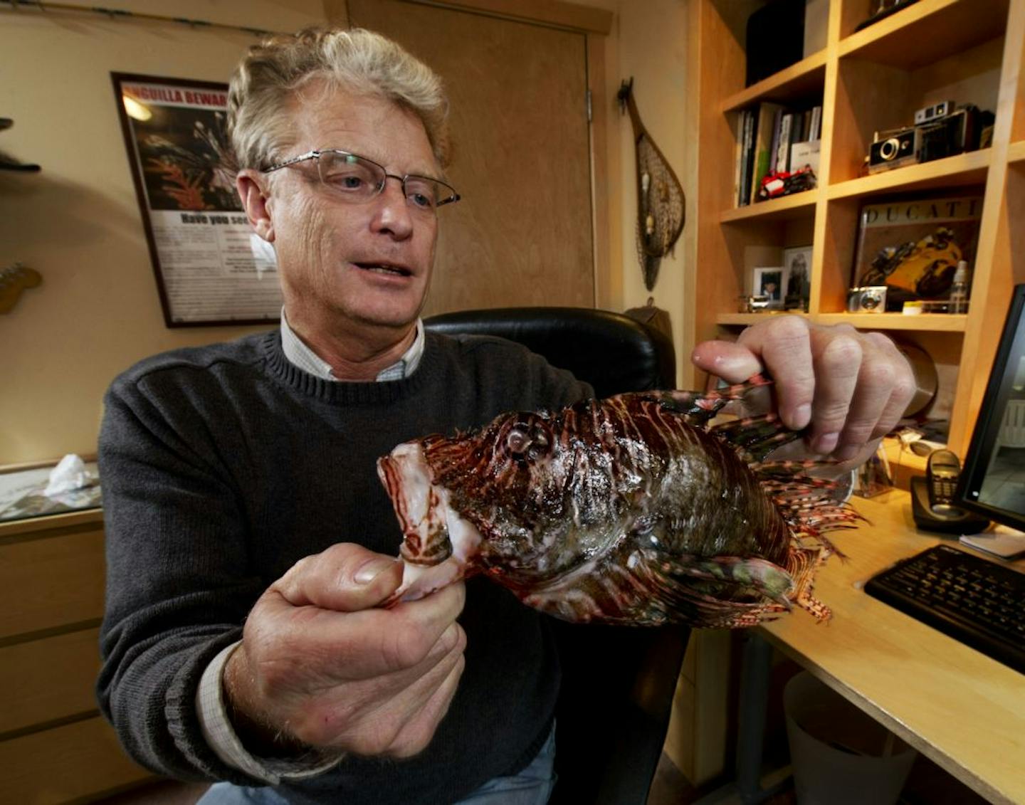 David Johnson in his Plymouth home office with a partially defrosted lionfish. This fish has no natural predators in the Caribbean. Johnson says, unfortunately for the lionfish, they make delicious food for humans. This also provides a predator for a species of fish getting out of control.