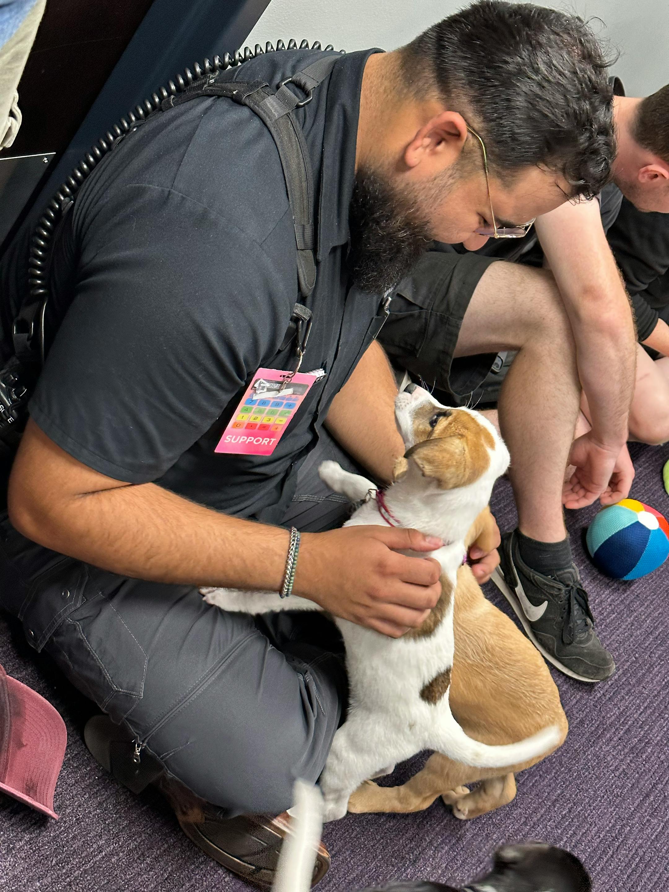 A Minnesota animal rescue group got an unusual request from crew members in town for Ed Sheeran's concert Saturday at U.S. Bank Stadium. They wanted to play with puppies. The concert workers sent a message to Princeton-based Ruff Start Rescue asking the non-profit if it could help put together a puppy party to help crew members relax before the concert.