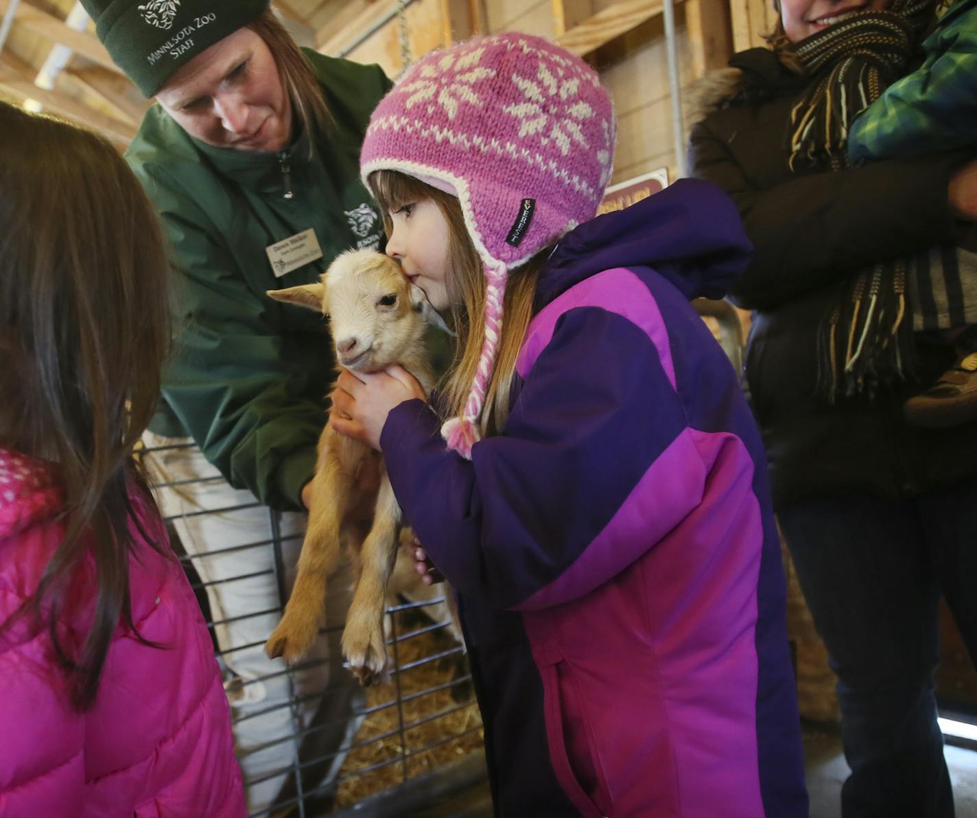 Farm Babies returned to Minnesota Zoo Tuesday as farm zoologist Dawn Walker introduces one of the triplet goats born four days ago to Sierra Clotts, 5, of Minneapolis. Looking on is Brooke Wilson, 4, right, of Apple Valley.