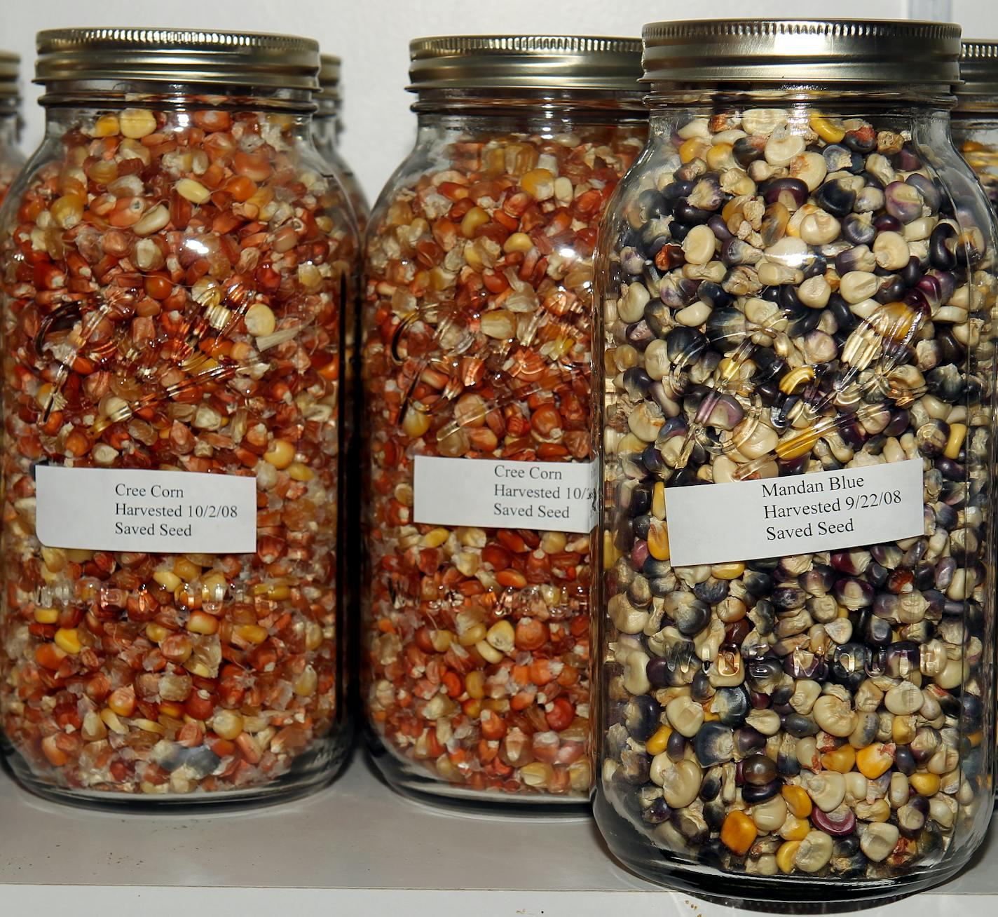 Seeds of indigenous plants are labeled and stored for the Garden Warrior project at the Dream of Wild Health farm near Hugo.