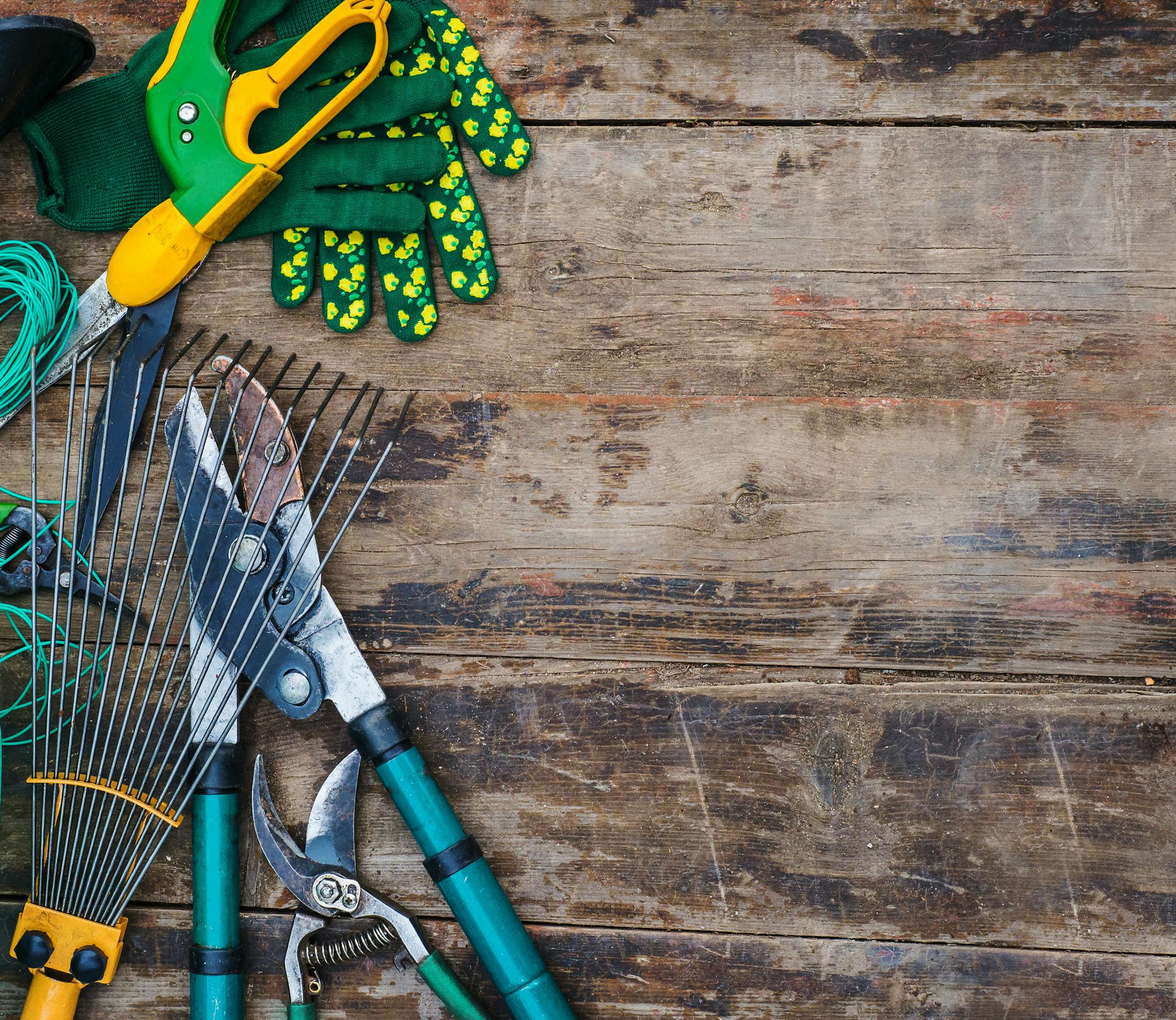 garden tools on a wooden table. view from above
istock