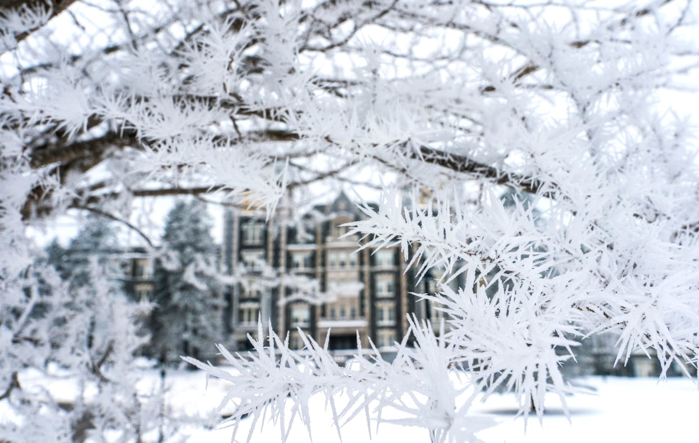 The College of St. Scholastica in Duluth, shown in 2019. A more than $1 million gift to the college from the Manitou Fund will help pay for nursing simulation labs, and the conceptual design of a new nursing center, among other things.