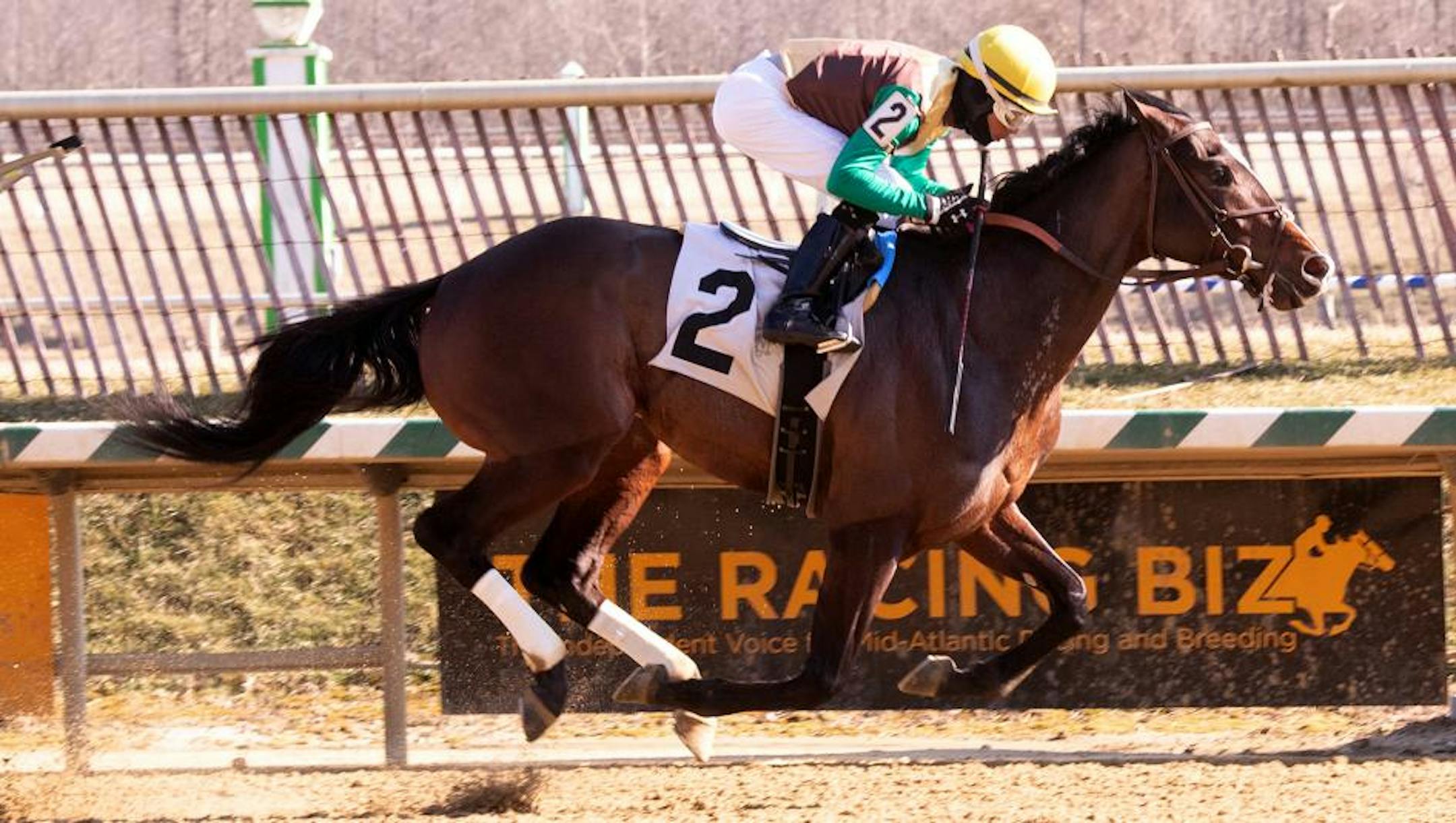 Alwaysmining is Johnny Love's pick to win the Preakness.