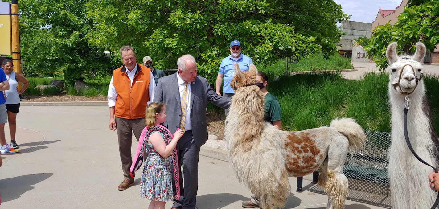 Gov. Tim Walz made a visit to the Minnesota Zoo on June 3 to highlight the state's COVID-19 vaccine incentive campaign. Photo by JEREMY OLSON.