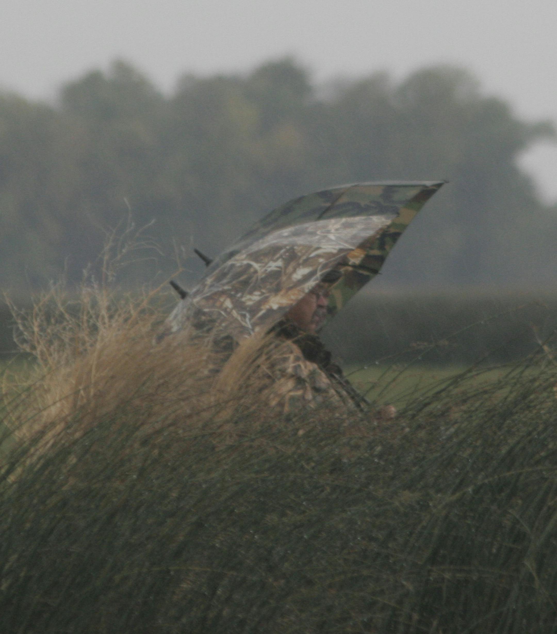 Doug Smith/Star Tribune Yes, it was a wet duck opener at Swan Lake. Fred Froehlich and Lee Carlstrom unfurled camouflage umbrellas in their duck blind to shield them from a steady rain..