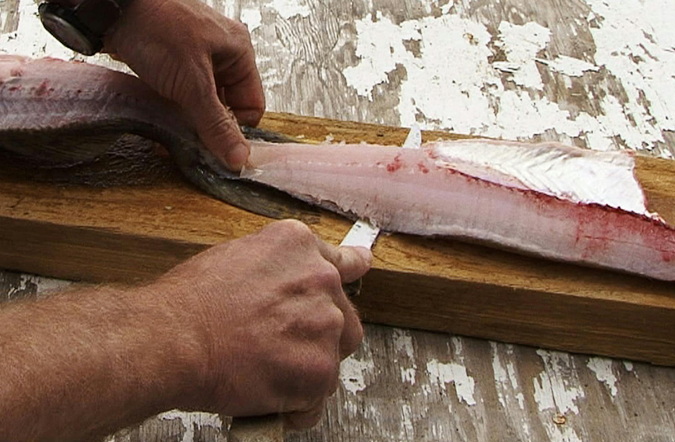Start at the tail end of the fillet. Separate the fillet from the skin as you the knife between the skin and the fillet.