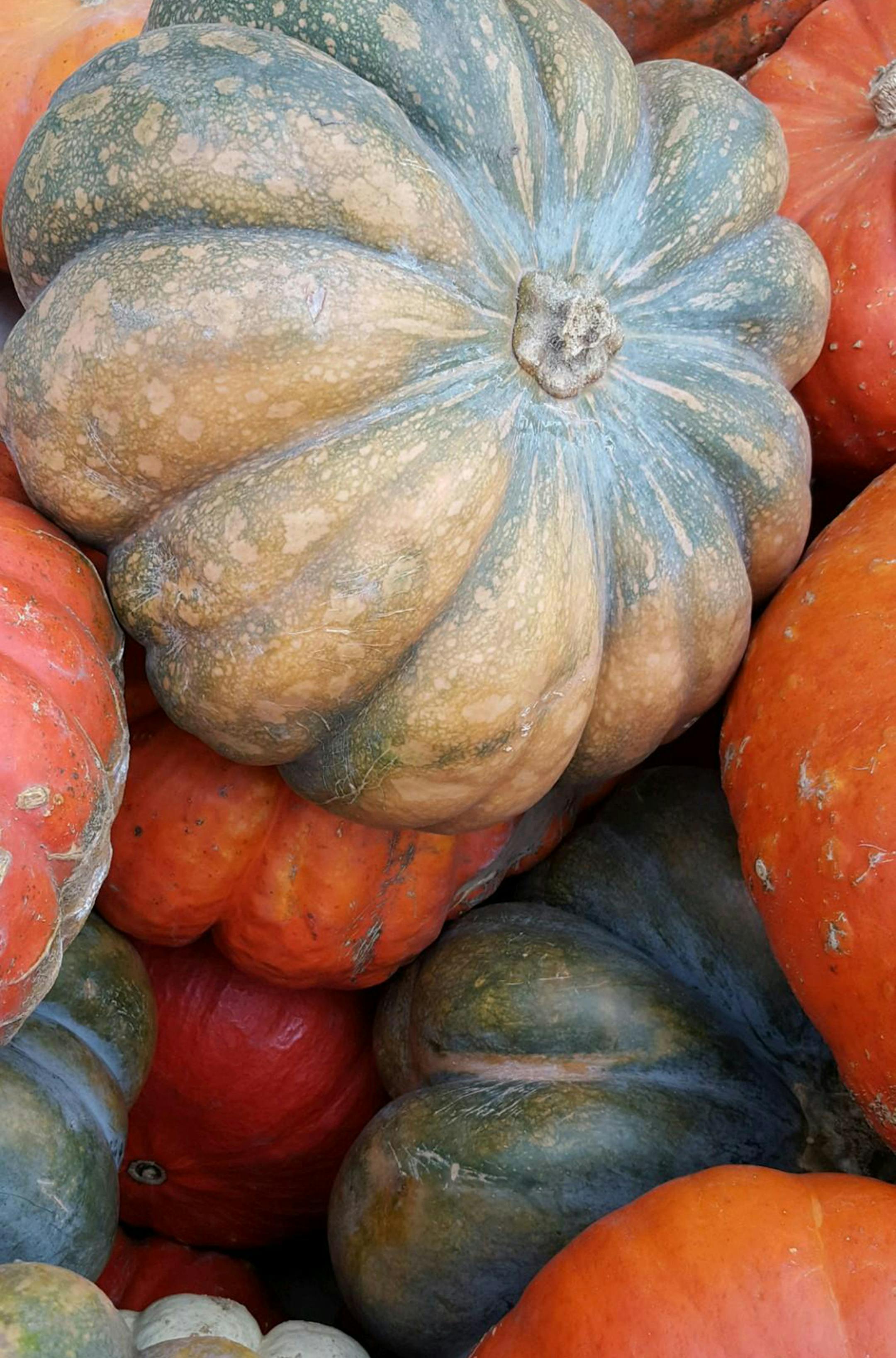 Tatyana Blazhnov, Oakdale