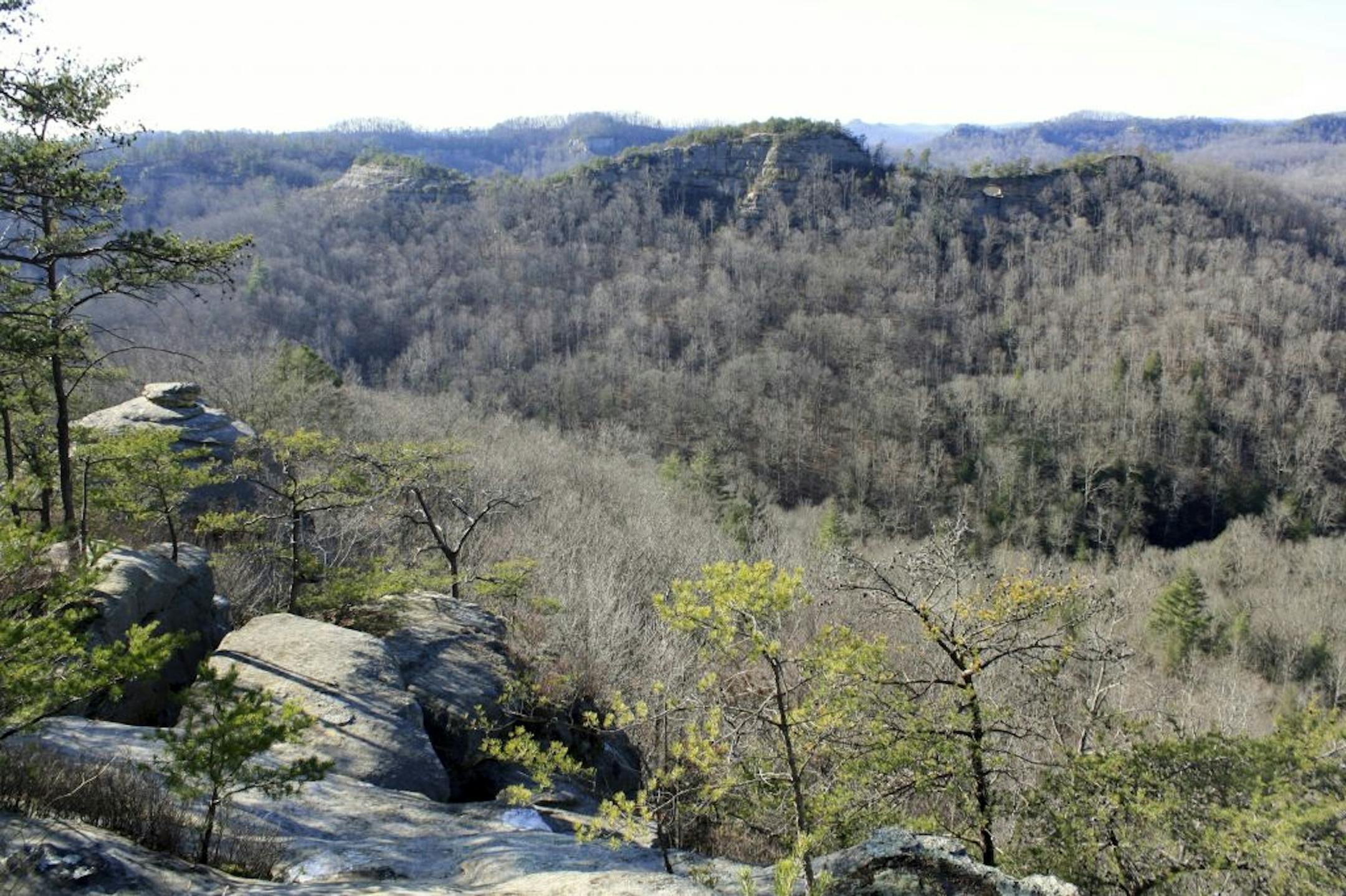 This undated photo provided by the U.S. Forest Service in November 2020 shows the densely forested Red River Gorge from the popular Auxier Ridge trail, in Kentucky. A sharp increase in the number of visitors to the Red River Gorge in 2020 has the U.S. Forest Service considering changes that would improve safety and accessibility for people and add more protection for delicate wilderness areas, officials said.