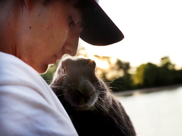 Caleb Smith, 15, his family and friends transformed a private 22-acre main island as a natural, sustainable oasis for a lovable bunch of bunnies.
