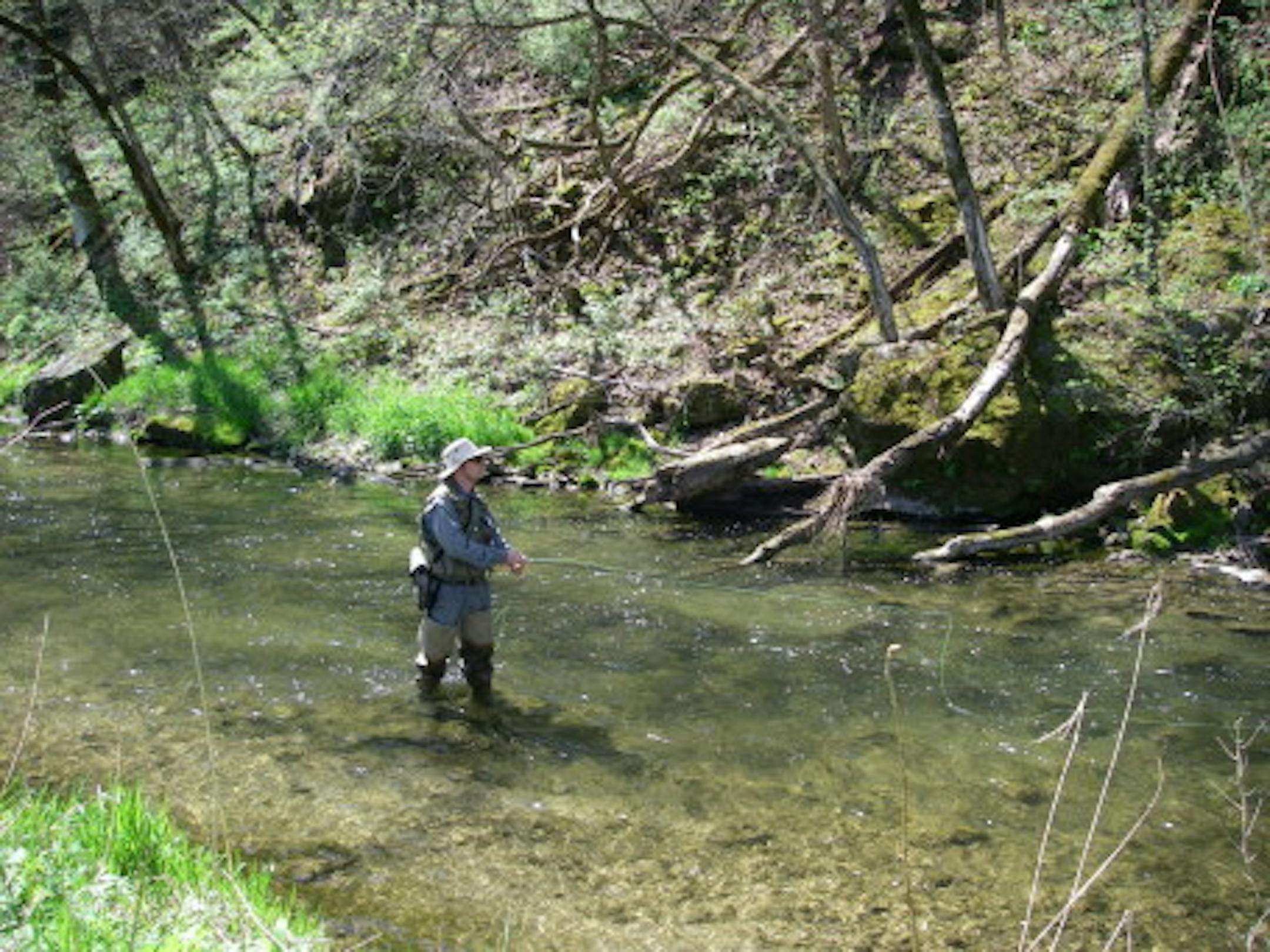 A good looking spot to fish a caddis fly.