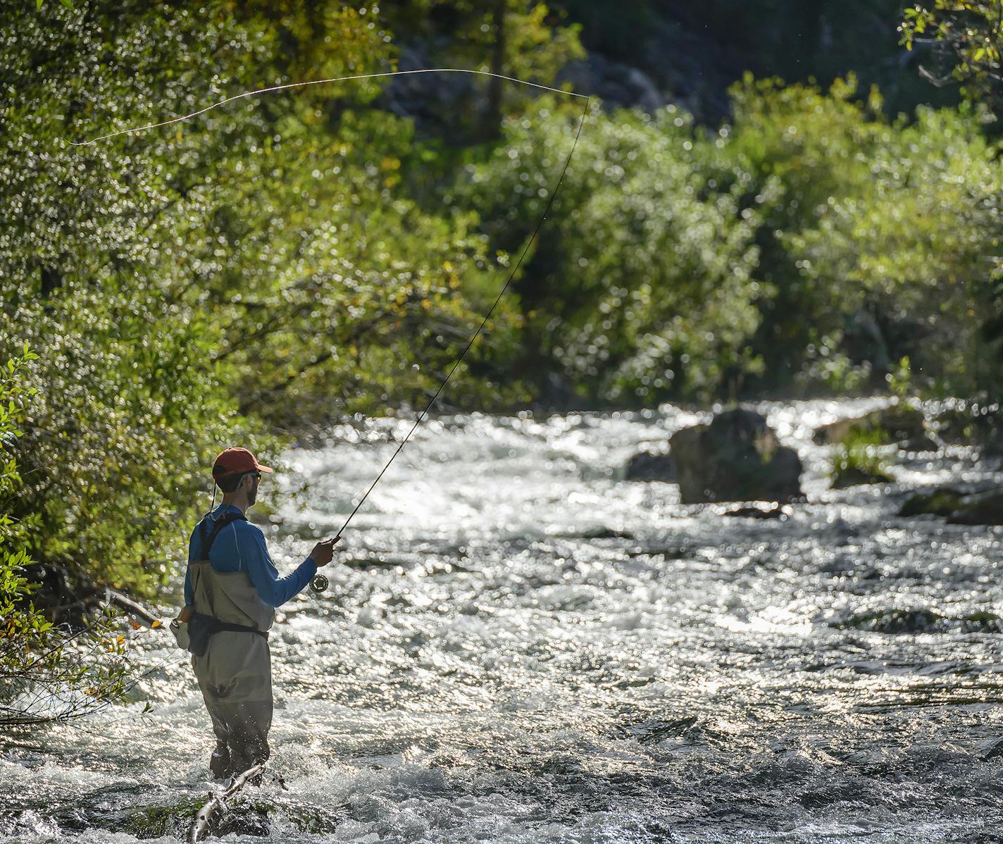 Fishing Spearfish Creek in Spearfish Canyon, South Dakota.