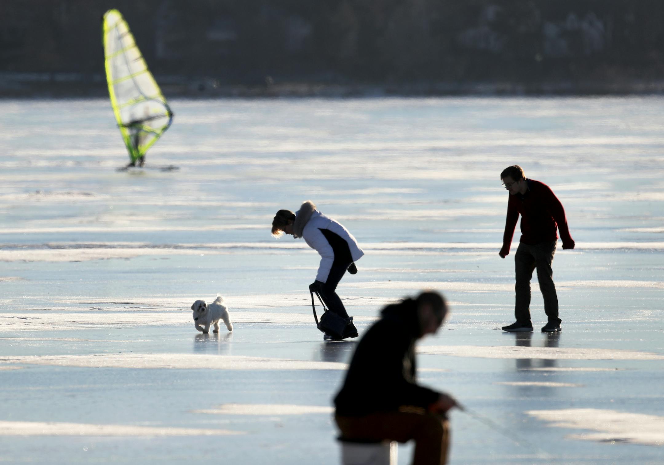 Warm weather brought out humans and canines alike to Bde Maka Ska as temp soared into the 40s Friday, January 4, 2019 in Minneapolis, MN.] DAVID JOLES • david.joles@startribune.com Unseasonably warm weather