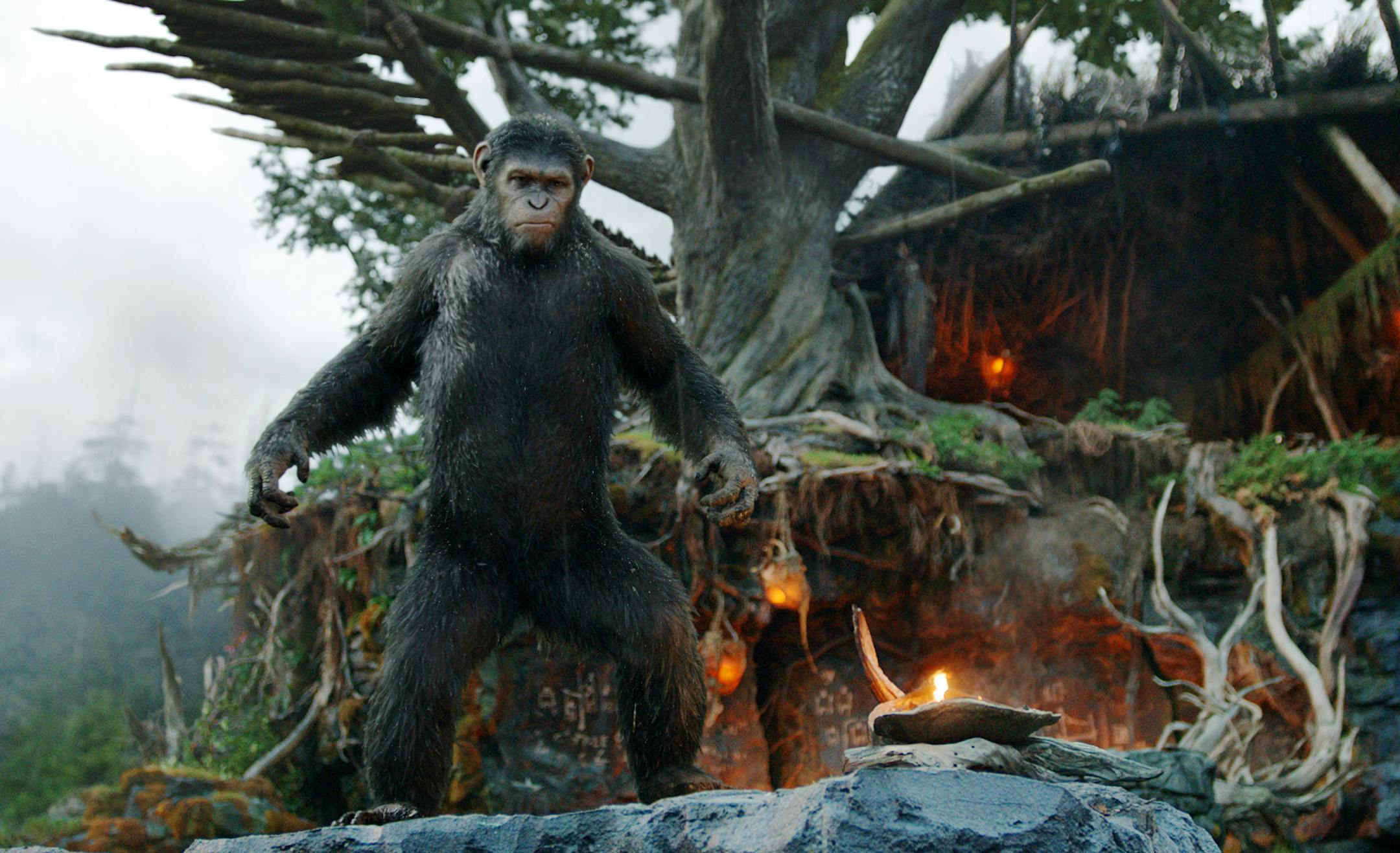 This photo released by Twentieth Century Fox Film Corporation shows Andy Serkis as Caesar in a scene from the film, "Dawn of the Planet of the Apes." (AP Photo/Twentieth Century Fox Film Corporation) ORG XMIT: MIN2014070913573241