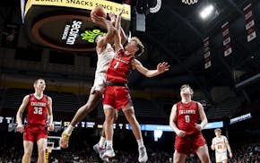 Cherry's Isaac Asuma and Fertile-Beltrami's Bryer Strem (1) compete under the basket during the Class 1A championship game Saturday.