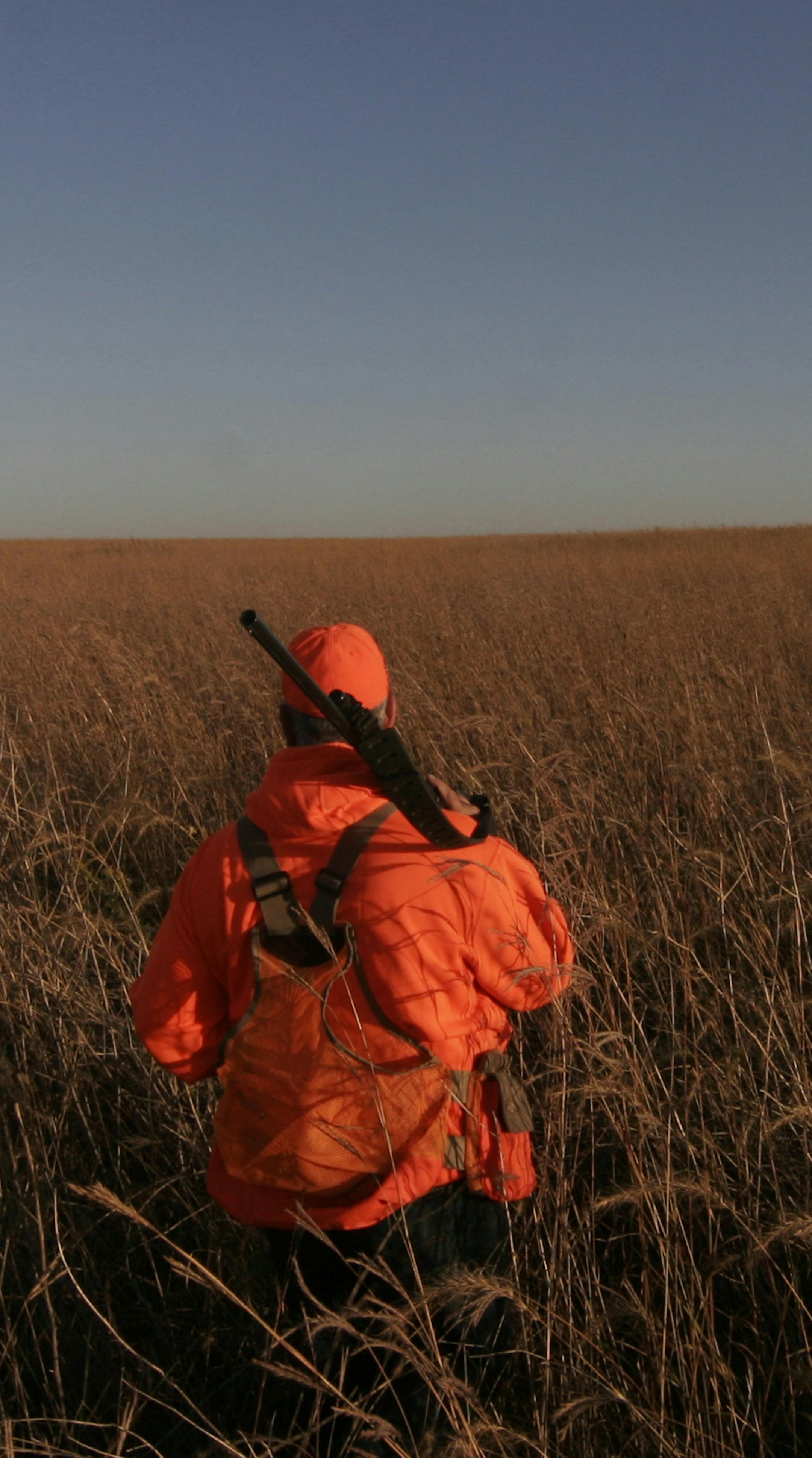 Pheasants and pheasant habitat -- including how to get more grassland on the landscape -- will be the topic at the first-ever Minnesota Pheasant Summit, to be held Saturday in Marshall, Minn. Doug Smith/Star Tribune ORG XMIT: MIN1410131255338003