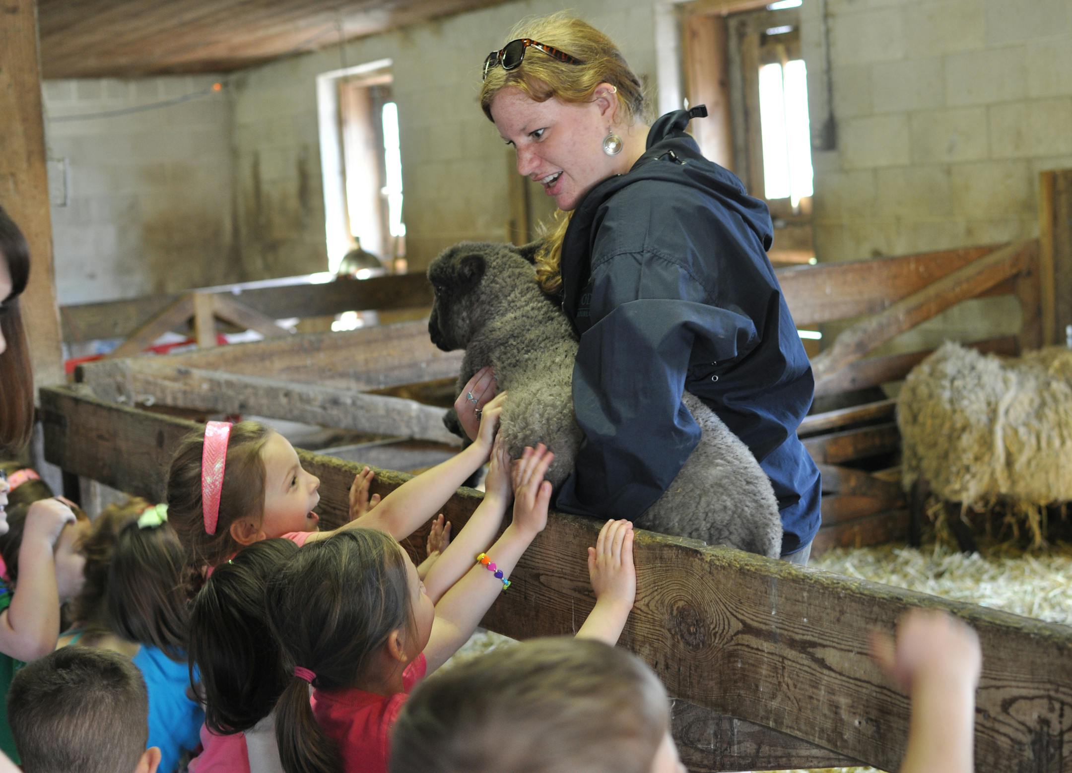 Photo by Liz Rolfsmeier Kelsey Greathouse, staff member at Dodge Nature Center, shows a lamb to a visiting school group. May 2013