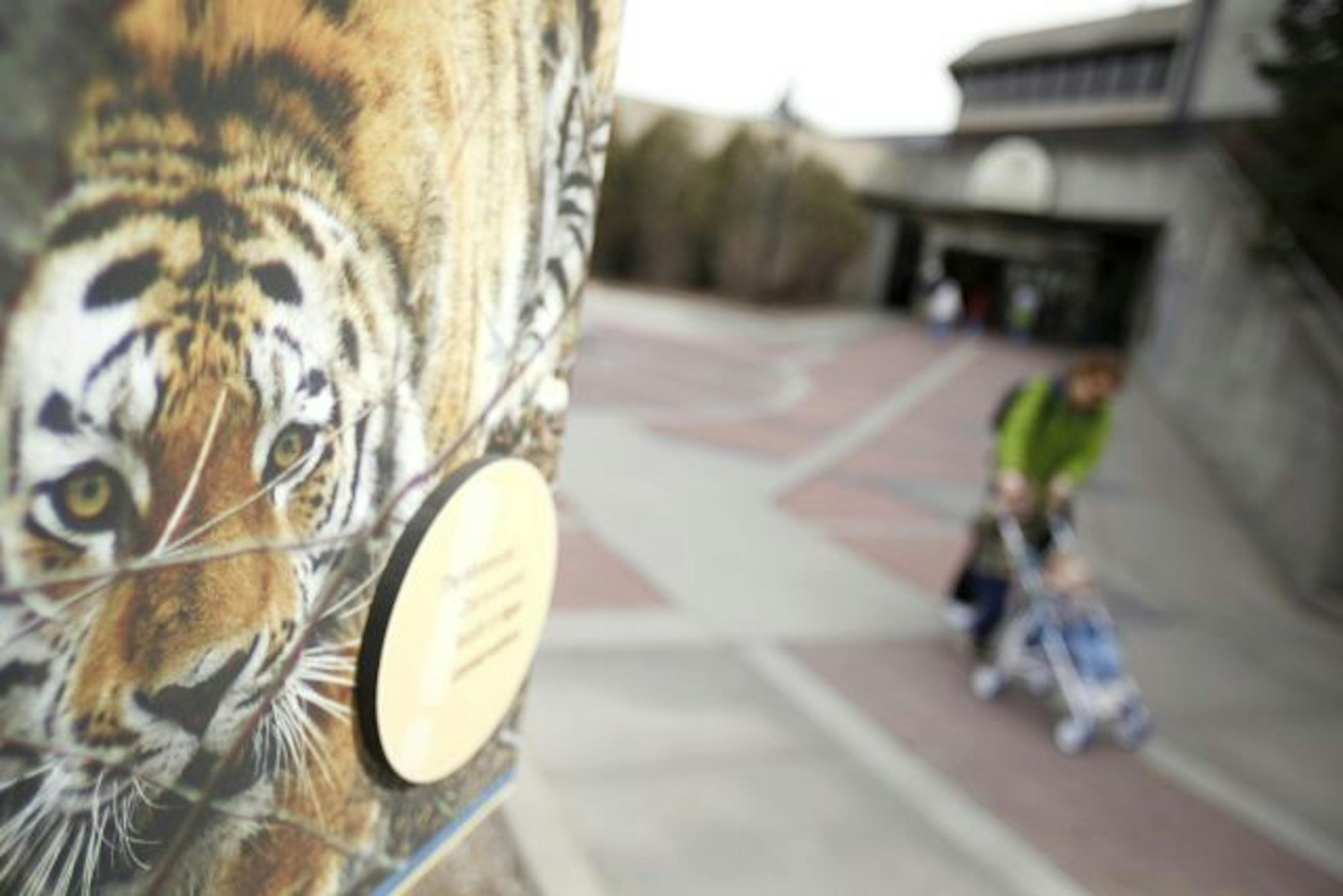 "We're not knocking 'er down and starting over," said zoo director Lee Ehmke. But many areas could be headed for major makeovers.