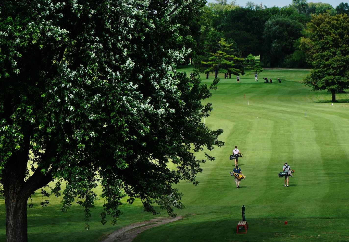 The Minneapolis City Council will decide the fate of the Hiawatha Golf Club tonite.]Richard Tsong-Taatarii&#xef;rtsong-taatarii@startribune.com