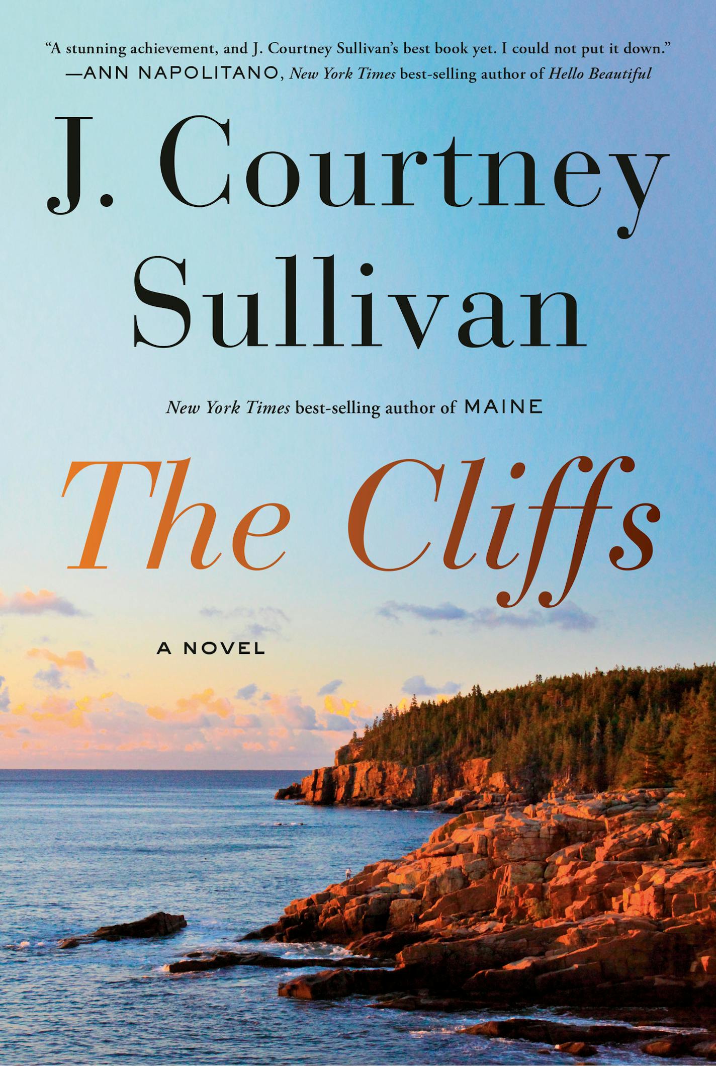 cover of novel "The Cliffs" is a photo of cliffs and a seaside