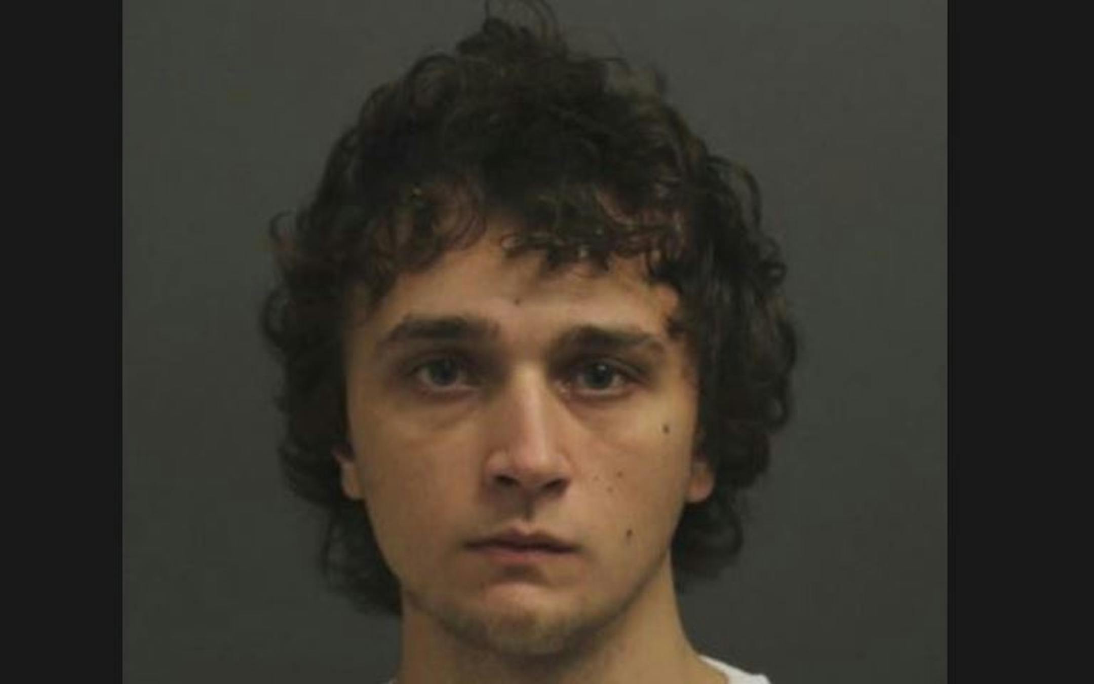Brandon Pedrys Credit: Wright County jail