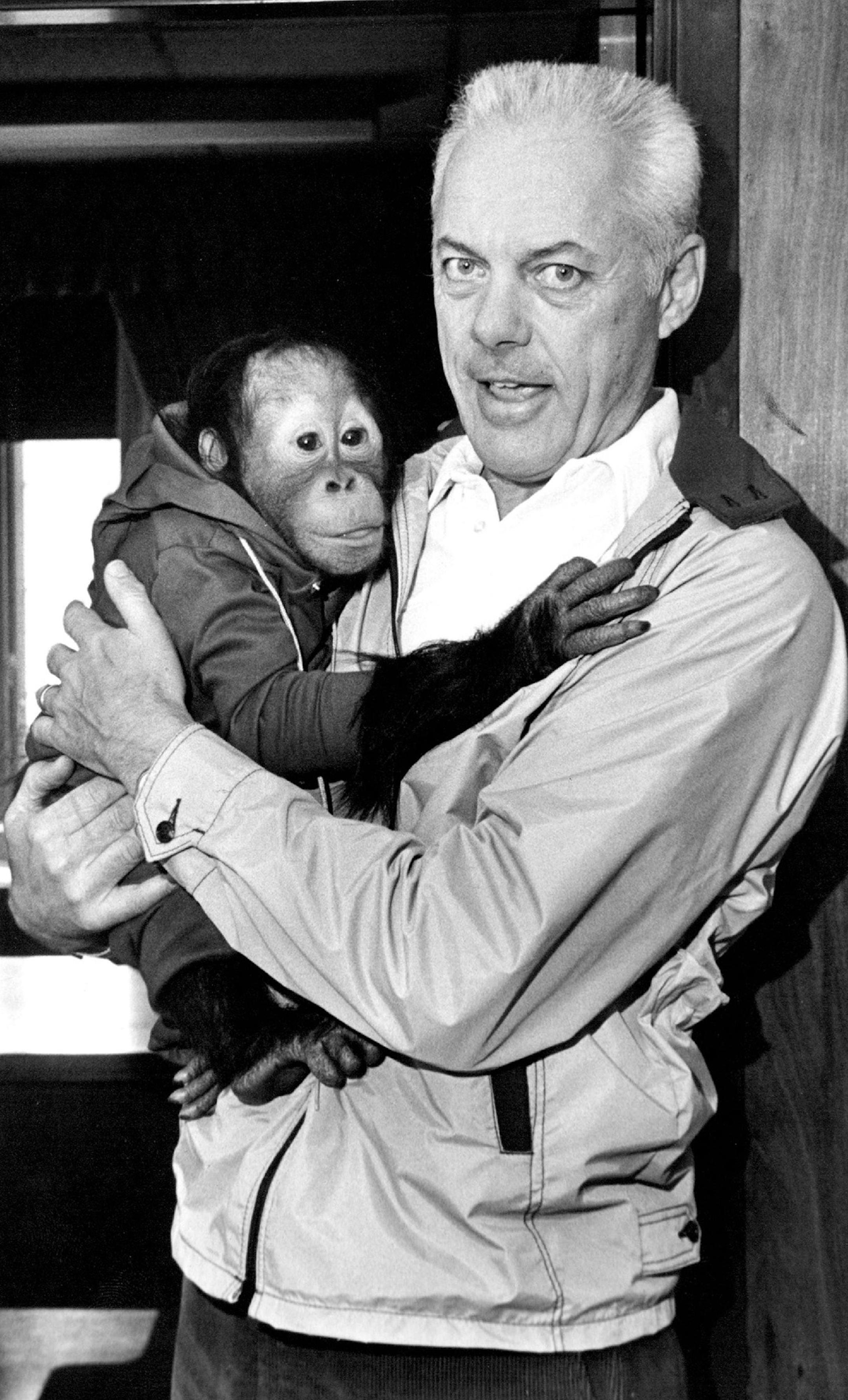 Bud Grant was greeted by Bruno, a 15-month-old orangutan, when the Vikings coach came to work on April Fool's Day in 1980. Grant, who has a reputation for playing practical jokes on the club's office staff, was on the receiving end yesterday. Bruno was from the Como Park Zoo.