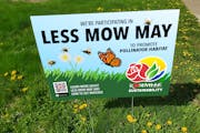 Roseville, which started promoting "Less Mow May" last year, created signs for participating residents to place on their lawns.