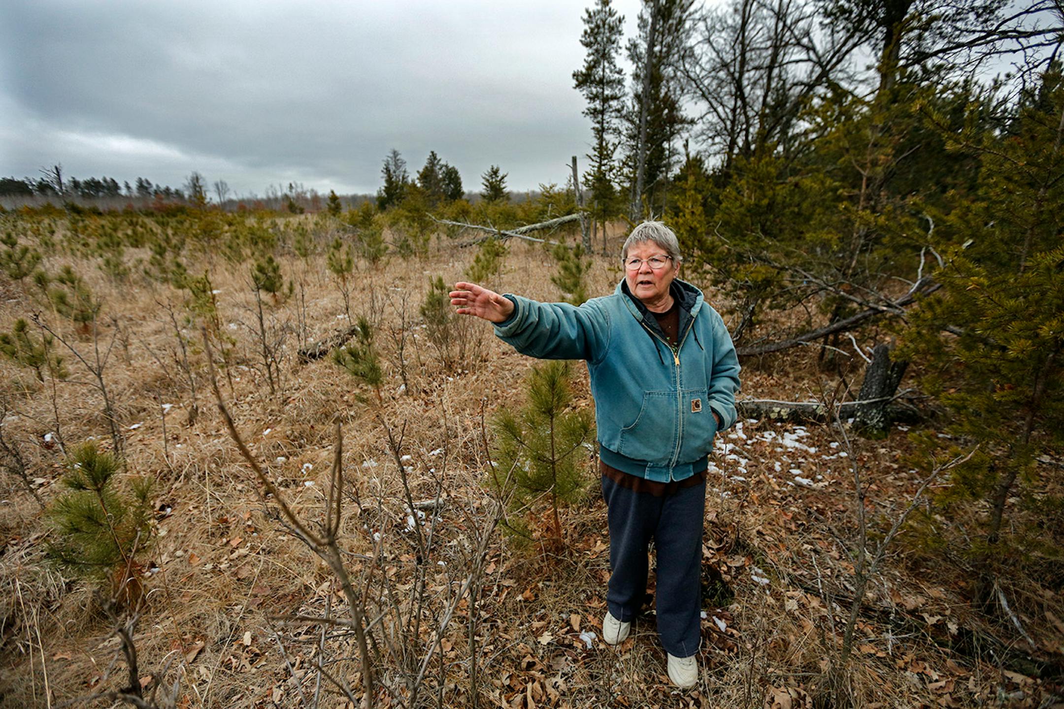Kathy Connell stands on the edge of her property that will soon become a potato field. She fears what might come next: vast fields of potatoes, aerial pesticide spraying, and a contaminated well.