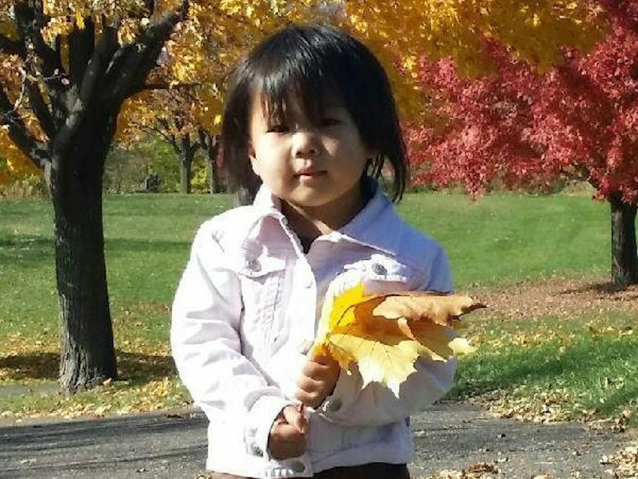 Ntshialiag Yang, 4, died after being pulled from a fire Sunday night on St. Paulís East Side, authorities said.