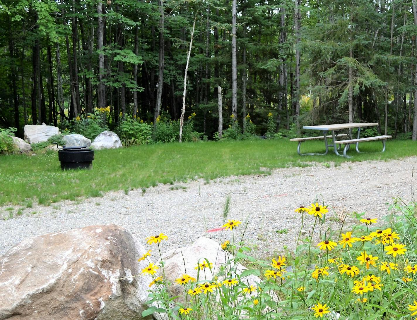 A Vermilion Ridge campsite