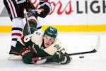 The puck slid into the goal as Minnesota Wild left wing Erik Haula (56) fell to the ice after taking a shot on an empty net, bringing the Wild's score