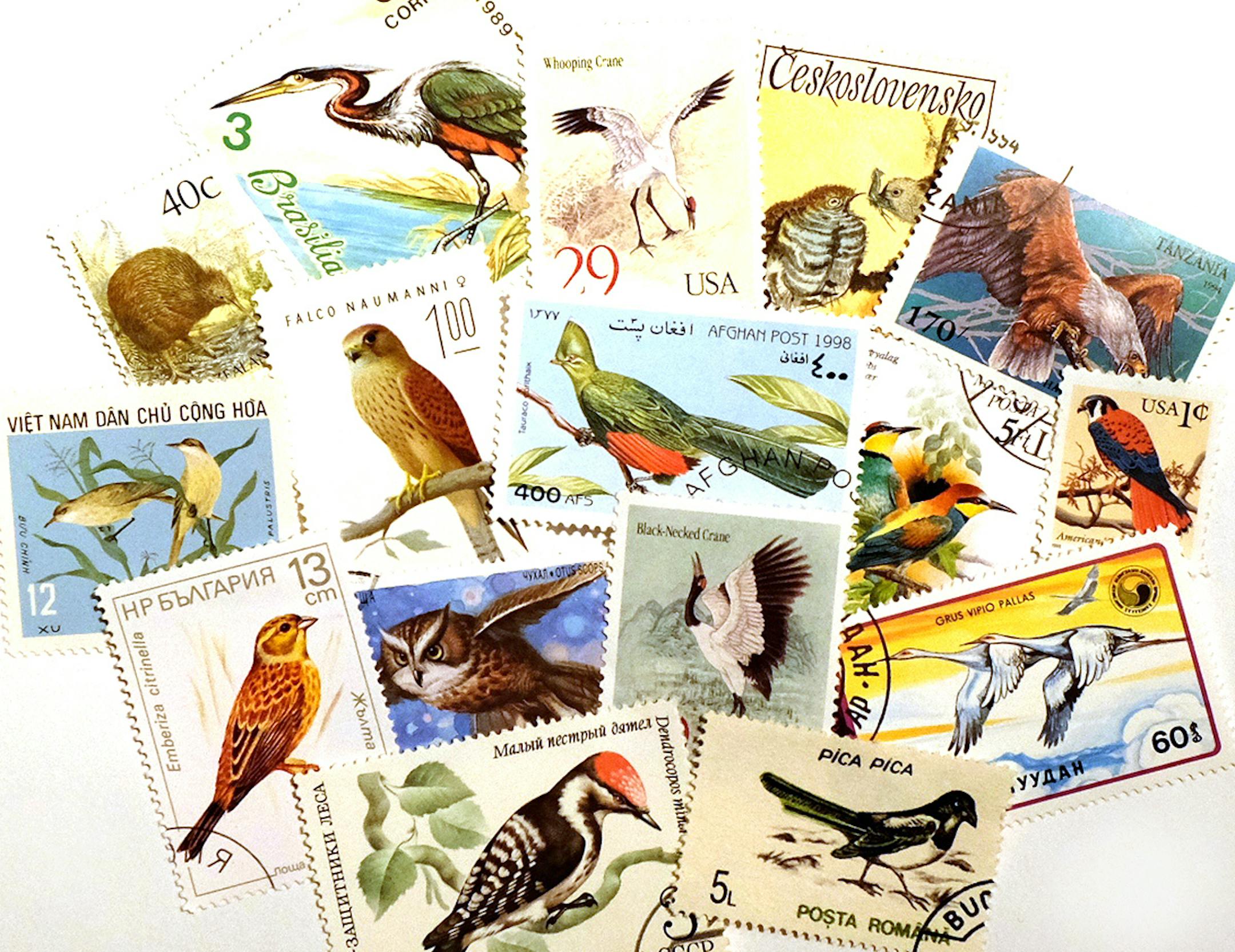 Bird stamps collection Photo from Jim Williams, special to the star tribune