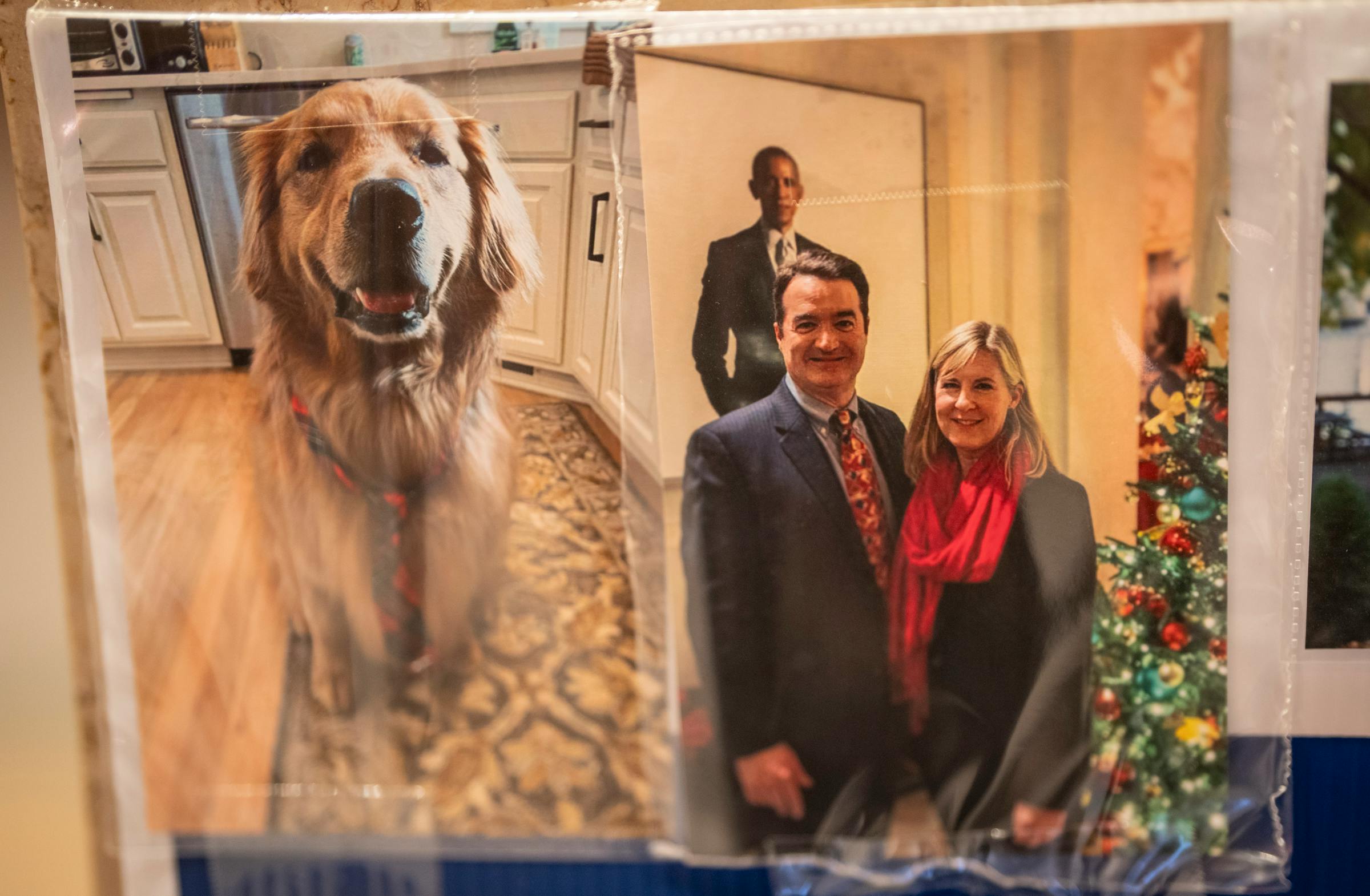 Hortmans’ golden retriever, Gilbert, dead following shooting