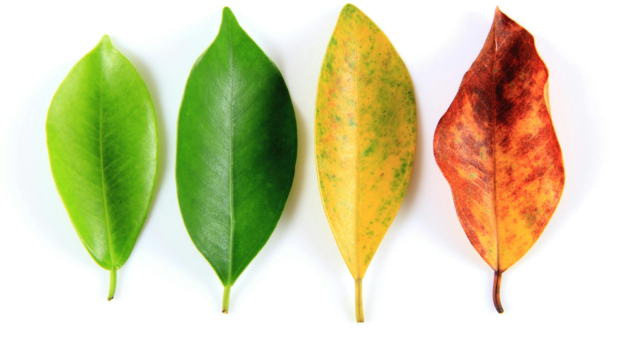 It's the time of year when summer slowly segues into fall.