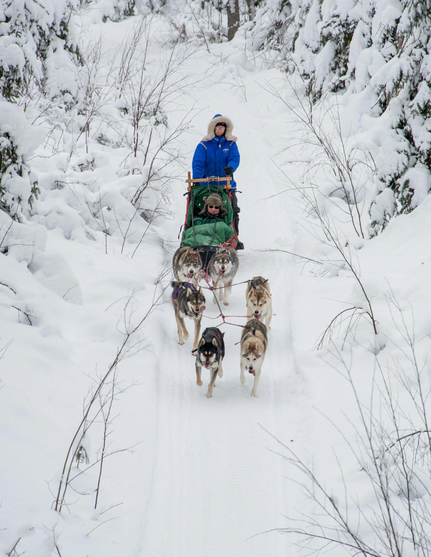 Linda Newman ran her dogs near her dog sled business and kennel, Points Unknown.