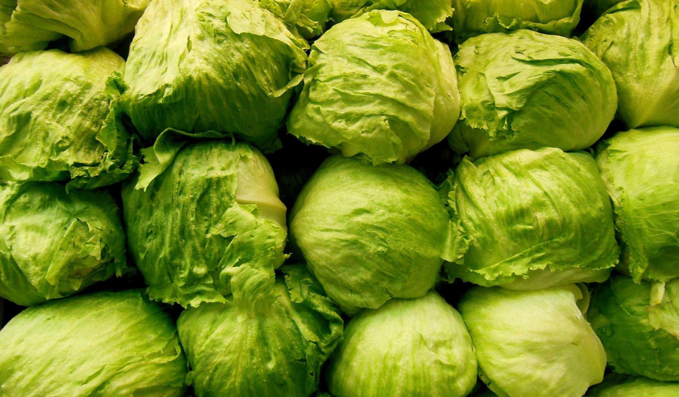 According to 2019 data, lettuce heads doing slightly better against lettuce leaves than in 2017 and 2018. (Marie Elena Sager/Dreamstime/TNS)