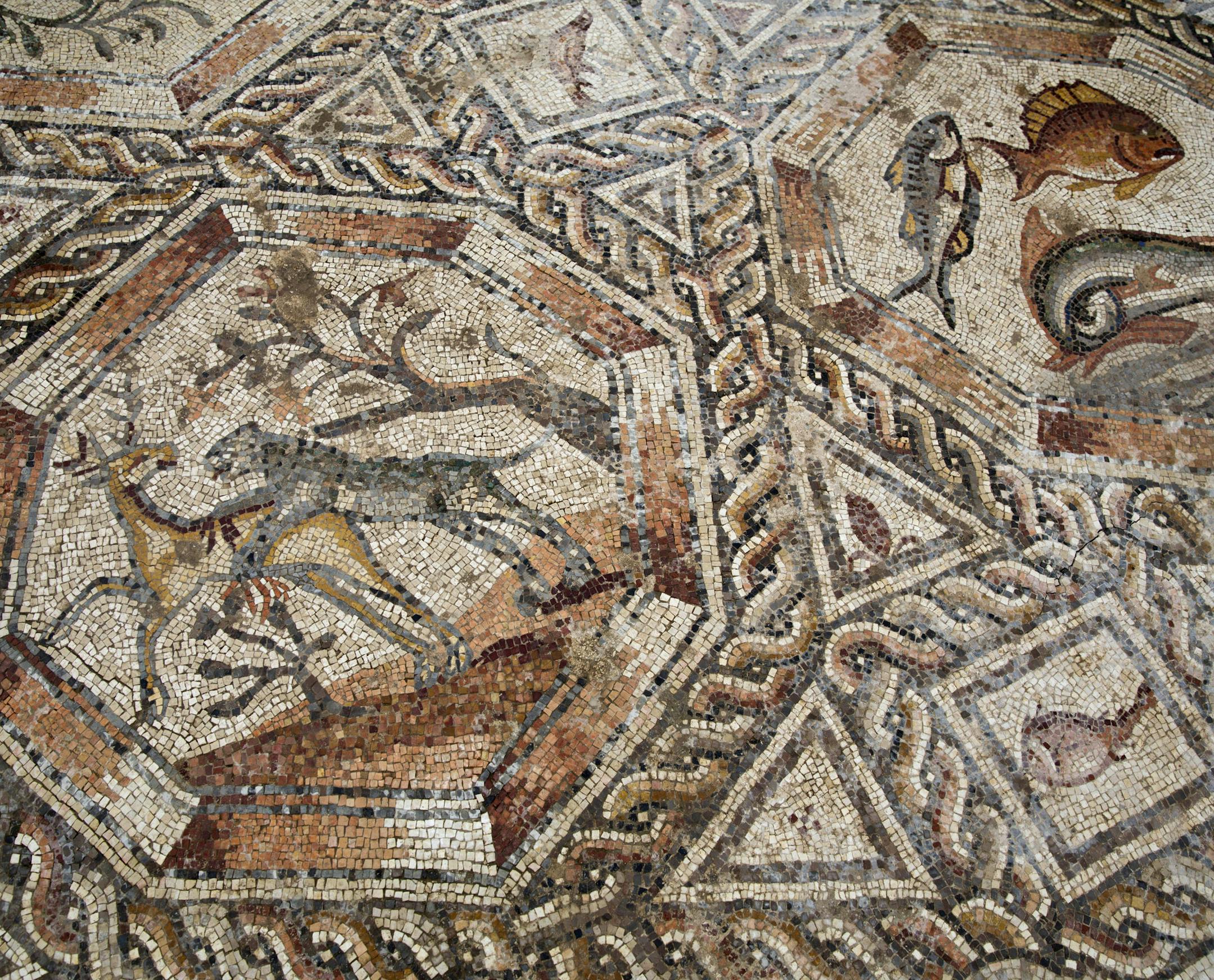 A partial view of a 1,700-year-old Roman-era mosaic floor in Lod, Israel, Monday, Nov. 16, 2015. Archaeologists found the mosaic last year while building a visitors’ center meant to display another mosaic, discovered two decades earlier at the same spot. The authority said the newly discovered Roman-era mosaic measures 11 meters by 13 meters (36 feet by 42 feet) and paved the courtyard of a villa in an affluent neighborhood that stood during the Roman and Byzantine eras. (AP Photo/Ariel S
