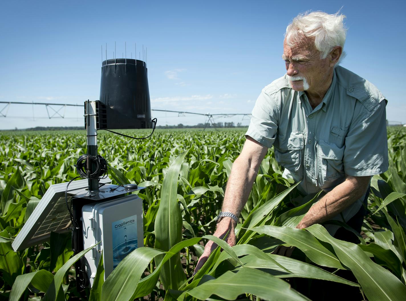 Wally Parkins, owner of Royal Farms in Royalton, Minn., showed off a soil probe he is experimenting with to monitor nitrate usage on his corn crop in late June. ] (AARON LAVINSKY/STAR TRIBUNE) aaron.lavinsky@startribune.com RIVERS PROJECT: We look at three of Minnesota's rivers, including the Mississippi, Red and Chippewa, to see how land use effects water quality and pollution.