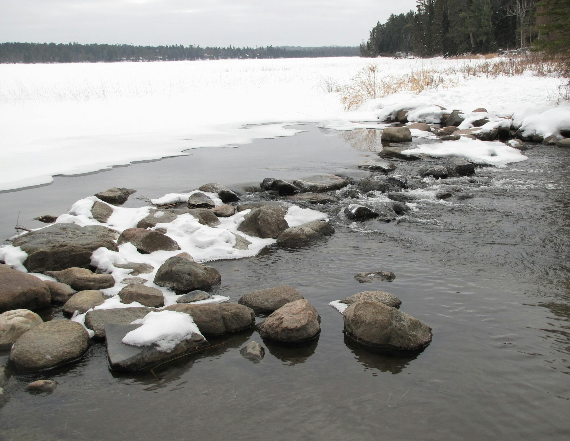 Photo by Lisa Meyers McClintick. Itasca State Park, Mississippi headwaters in winter.