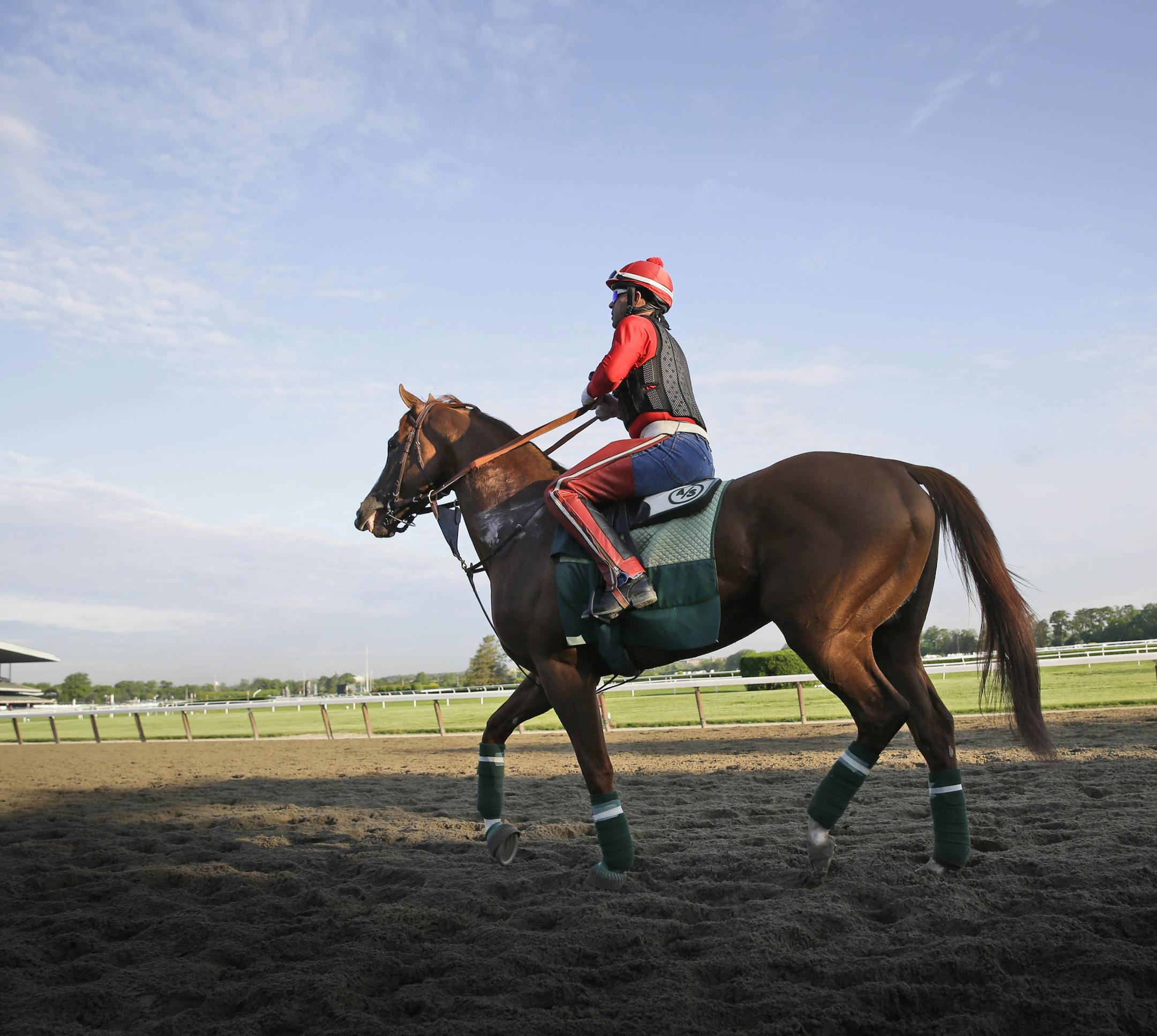 Exercise rider Willie Delgado rides California Chrome around the track at Belmont Park in Elmont, N.Y., Wednesday, May 21, 2014. California Chrome arrived in New York on Tuesday to begin preparations for his bid to become horse racing's first Triple Crown winner in 36 years. (AP Photo/Seth Wenig)