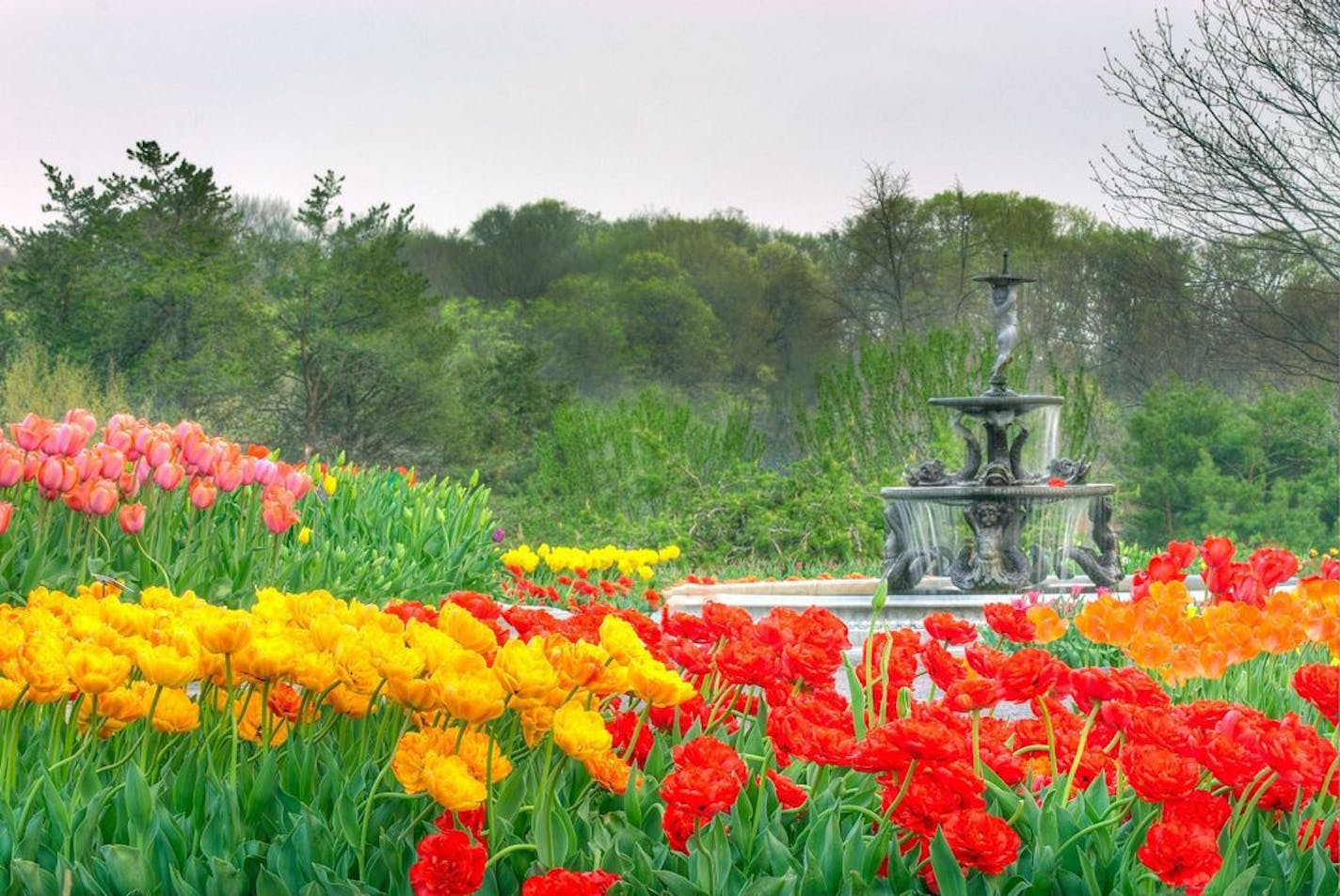 Minnesota Landscape Arboretum