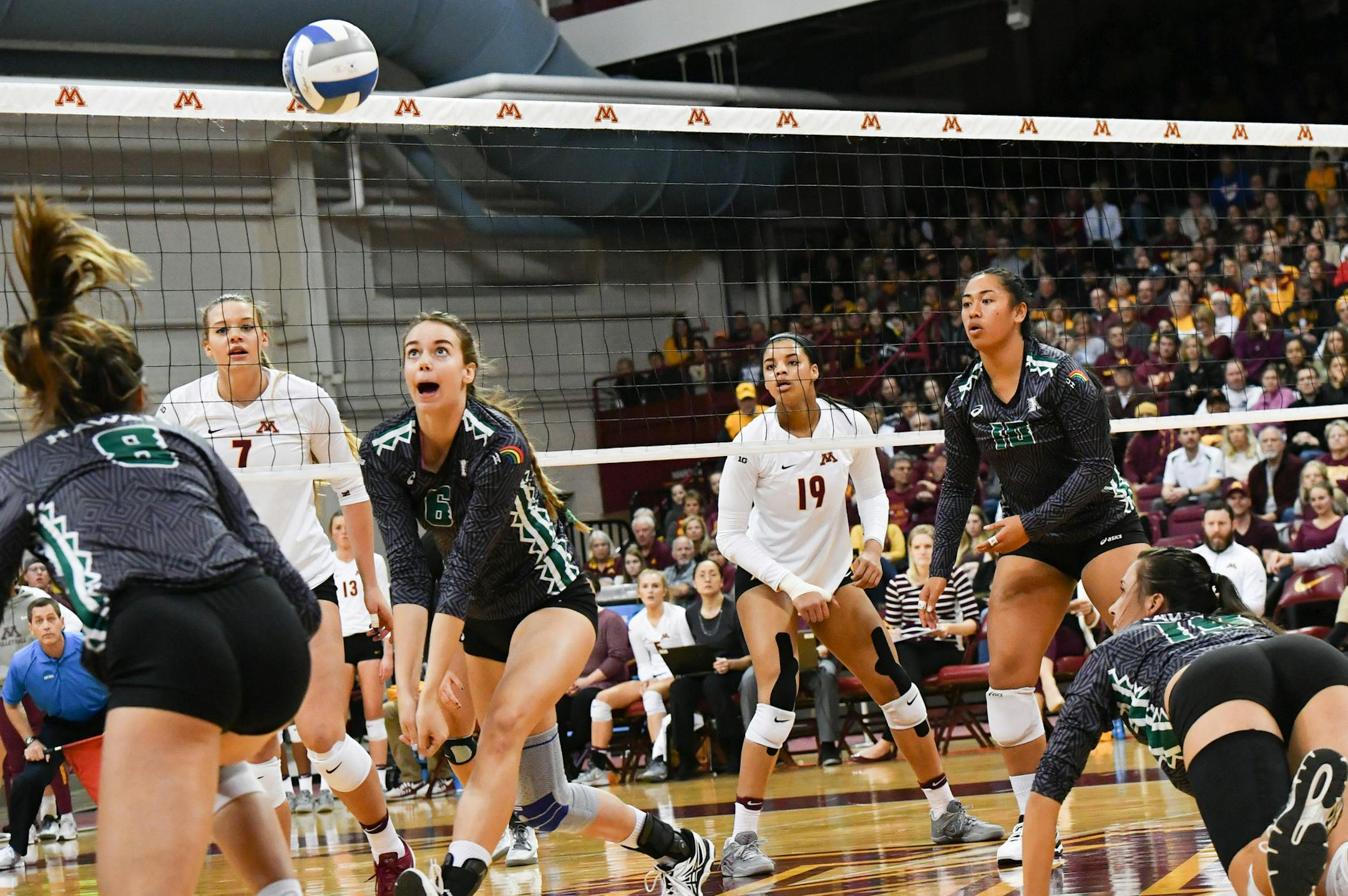 Hawaii 6 Natasha Burns goes after the ball in the first game. ] GLEN STUBBE * gstubbe@startribune.com Saturday, December 3, 2016 University of Minnesota Gopher Volleyball vs. USC/Hawaii in round two of the NCAA.