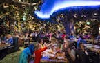 Chloe Olson pointed something out to her grandmother Glo Conlon CQ in the restaurant on opening day of the new Rainforest Cafe at the Mall of America 