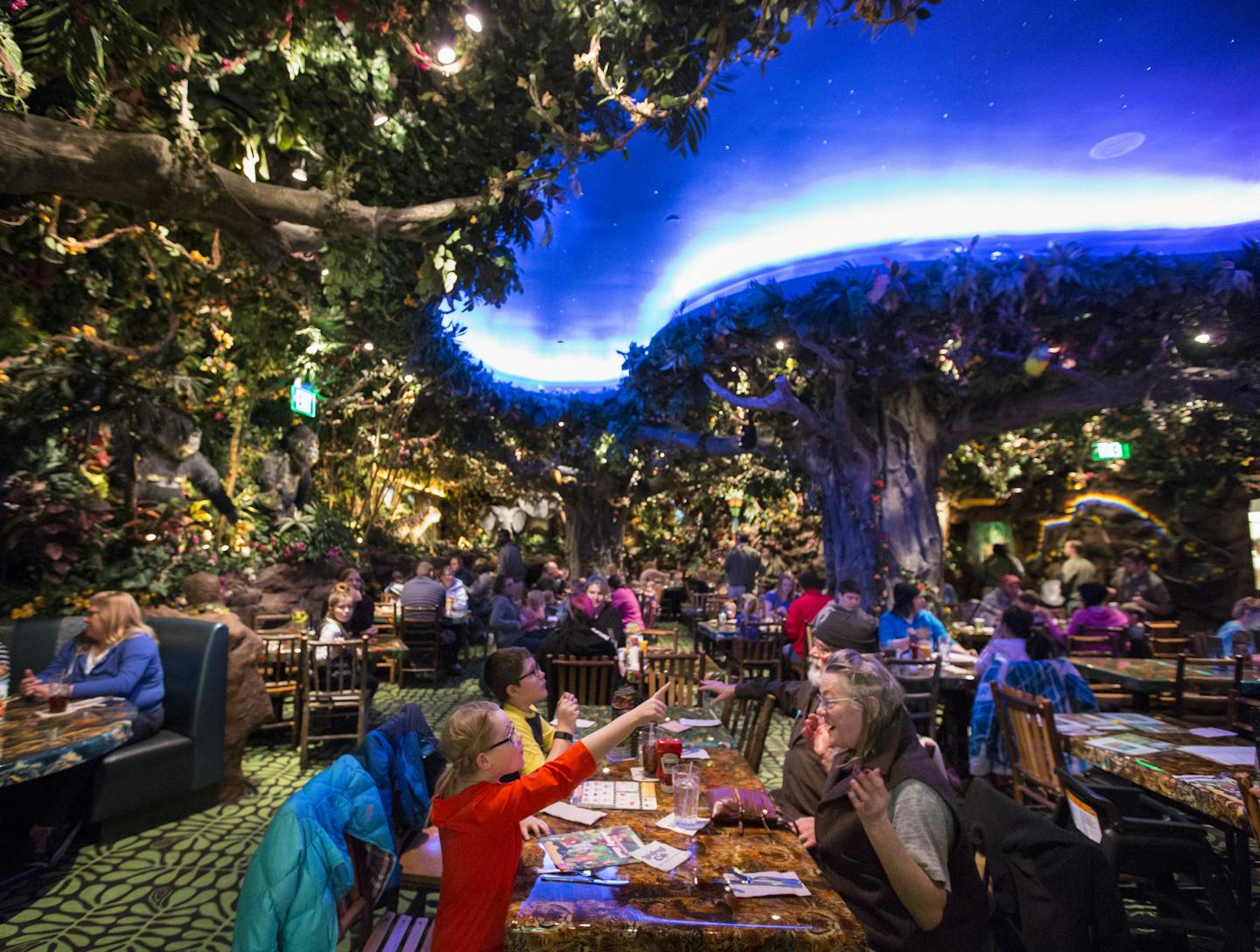 Chloe Olson pointed something out to her grandmother Glo Conlon CQ in the restaurant on opening day of the new Rainforest Cafe at the Mall of America in Bloomington, Minn., on Friday, January 22, 2016. ] RENEE JONES SCHNEIDER &#x2022; reneejones@startribune.com The new Rainforest Cafe in located a floor up from the old restaurant and has a patio and a thunderstorm effect every 20 minutes.