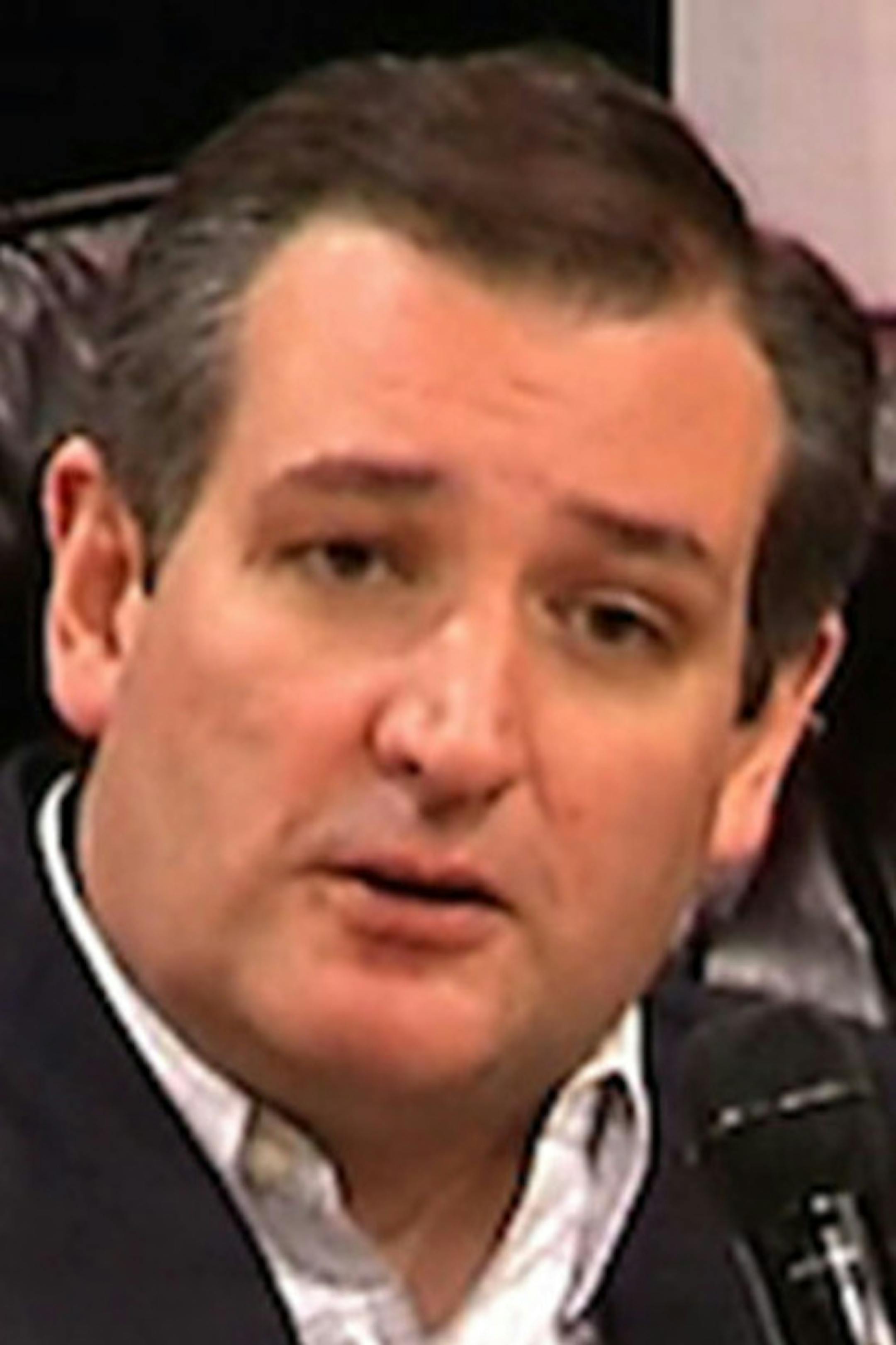 Republican presidential candidate Sen. Ted Cruz, R-Texas, addresses the audience during a presidential forum at First Baptist North Spartanburg in Spartanburg, S.C., Wednesday, Feb. 17, 2016. (AP Photo/Alex Sanz) ORG XMIT: MIN2016021812360443