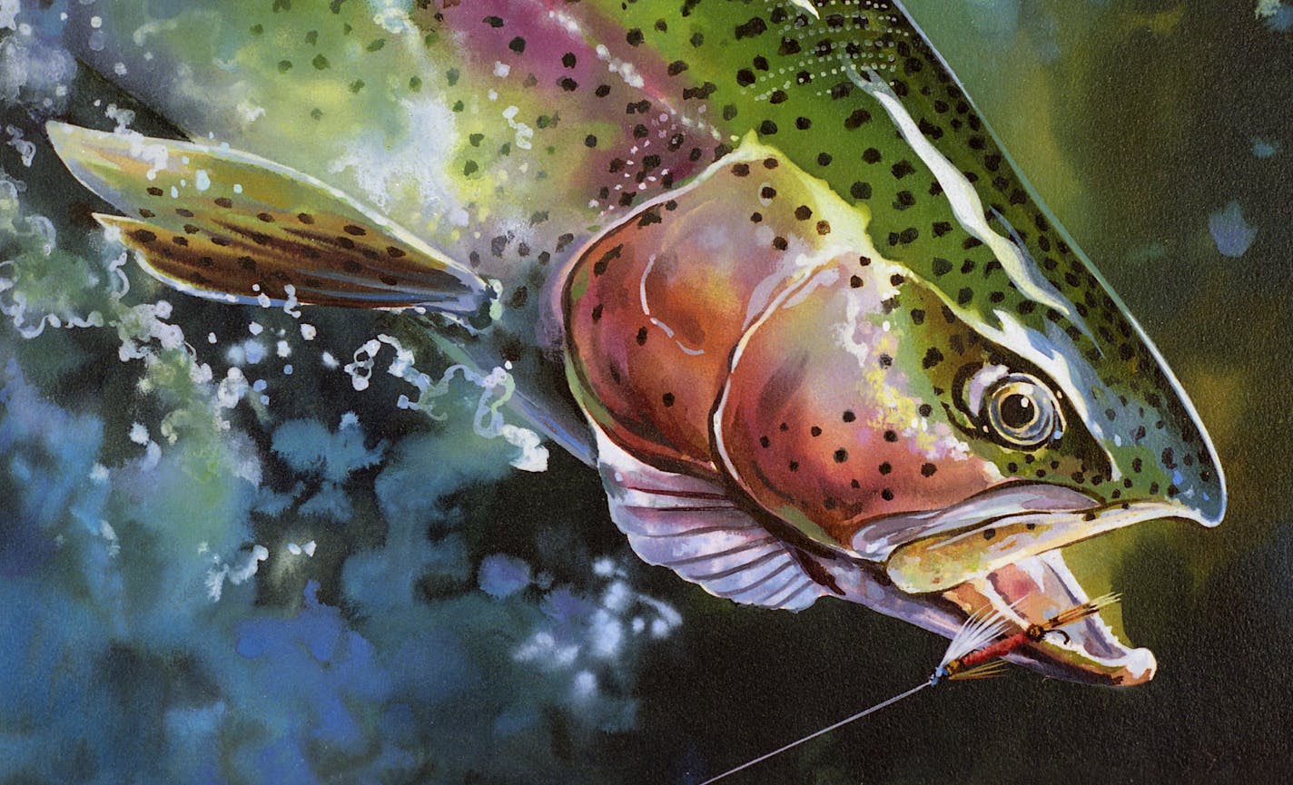 This Raymer piece depicts a fly angler&#x2019;s lucky catch. The painting won the Minnesota DNR&#x2019;s trout stamp competition in 2002.