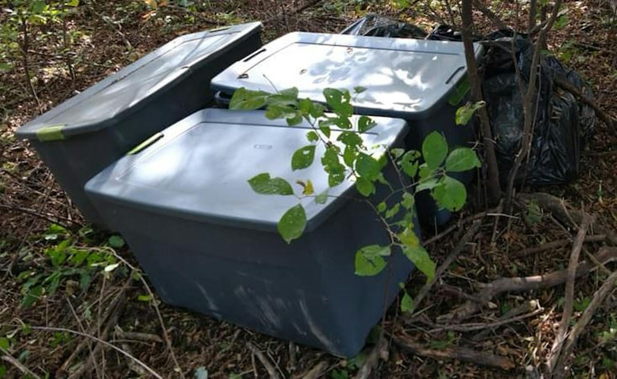 The marijuana was found in these containers and bags.