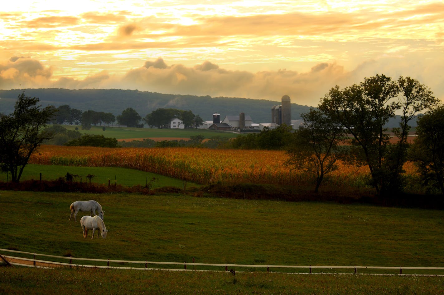 View of farmland in southwestern Wisconsin. (Dreamstime/TNS) ORG XMIT: 67014738W