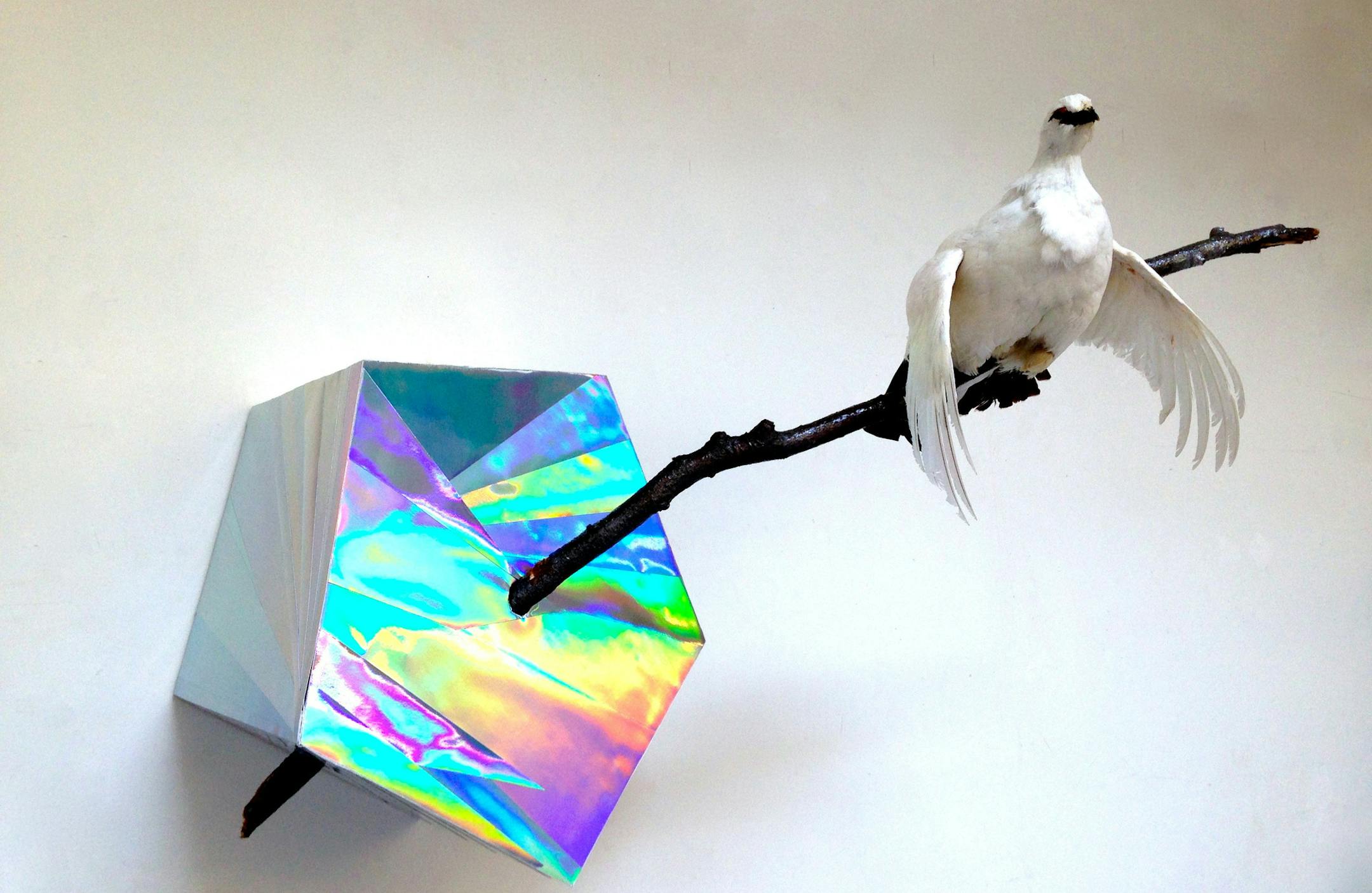 "Someday Never Comes" by Andrea Stanislav