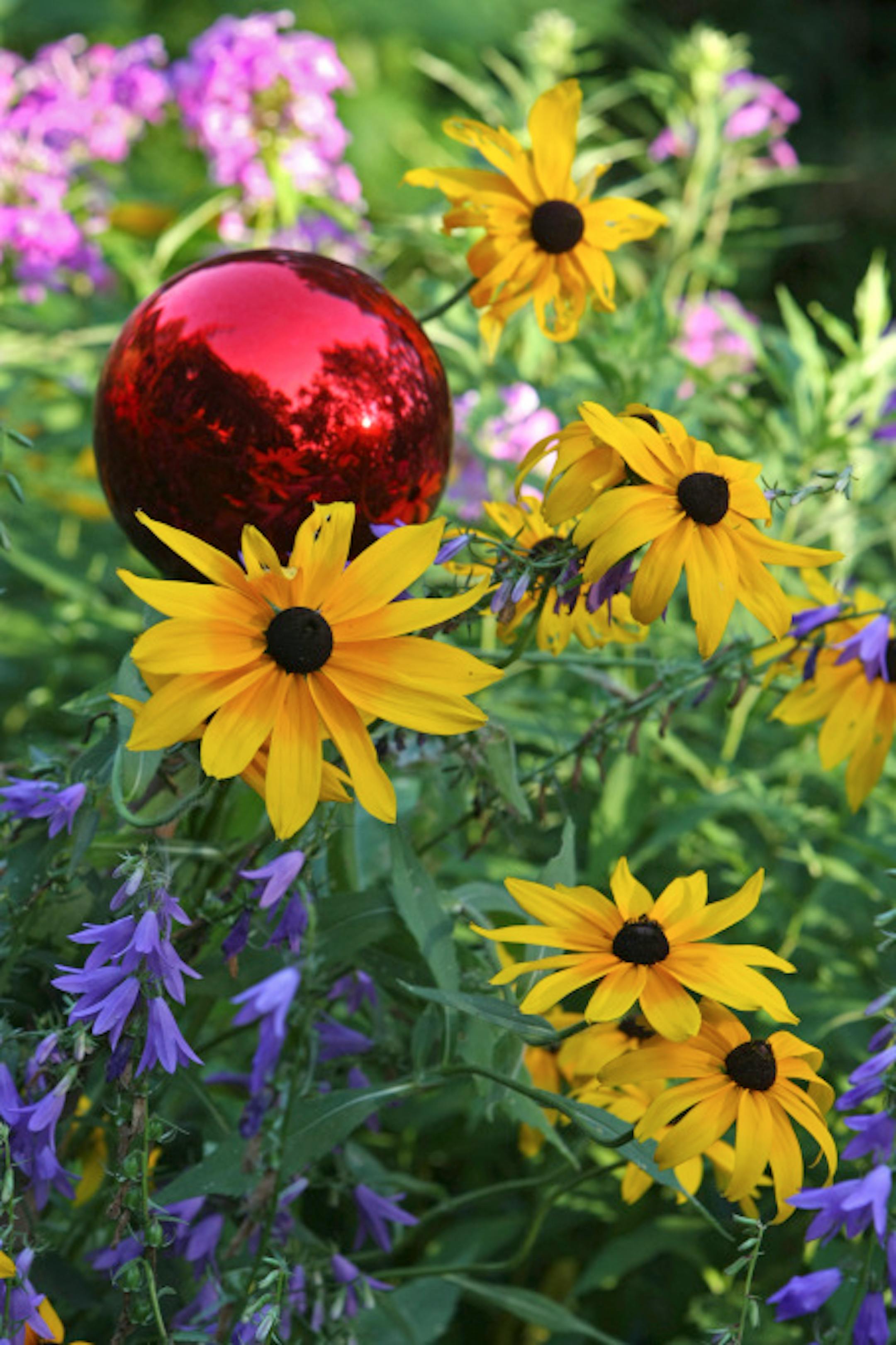 BRUCE BISPING \u2022 bbisping@startribune.com Apple Valley, MN., Thursday, 7/31/2008}  Lucy Pacieznik's garden.